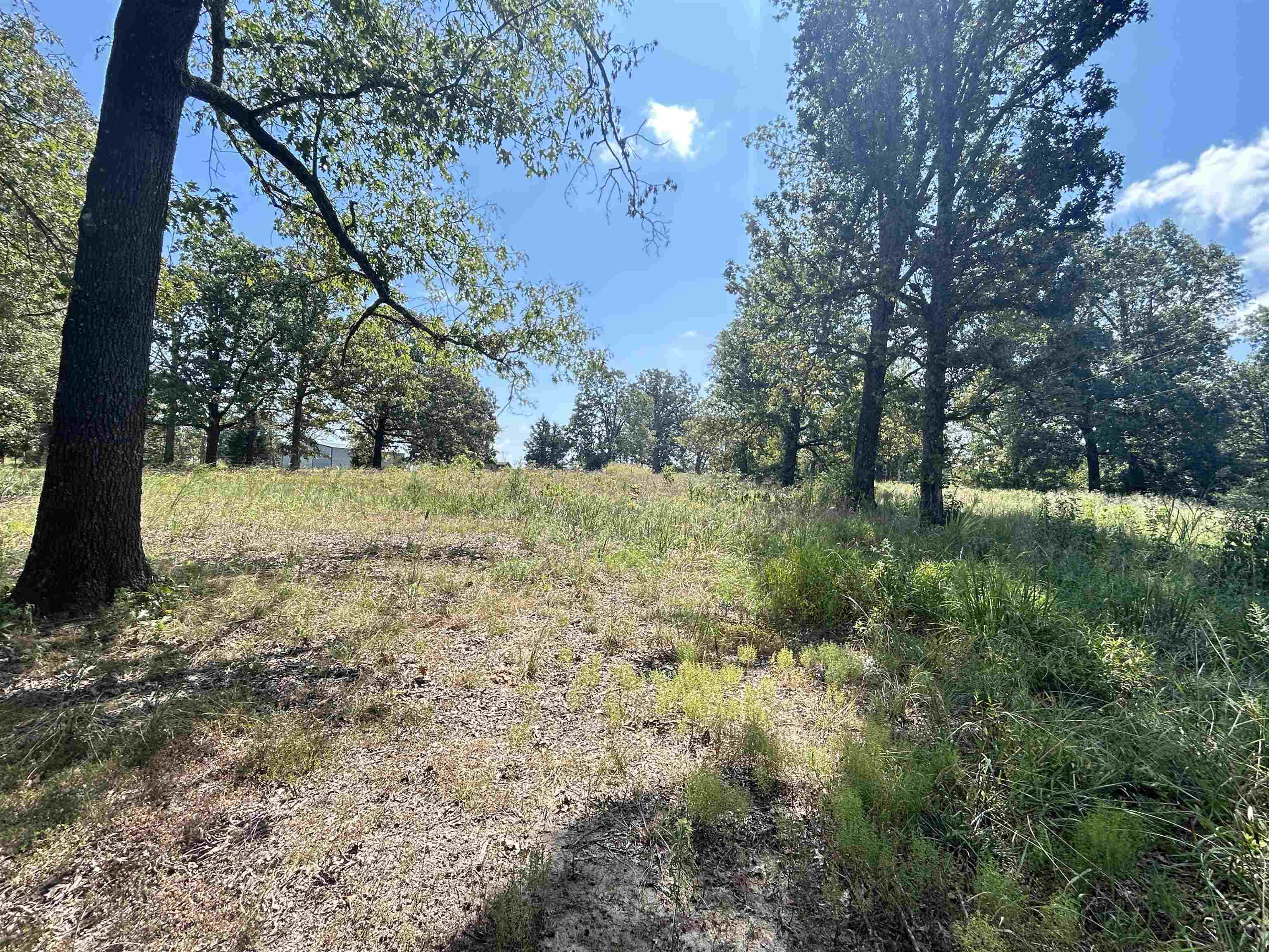 152A E Turkey Pen Road Highland, AR 72542