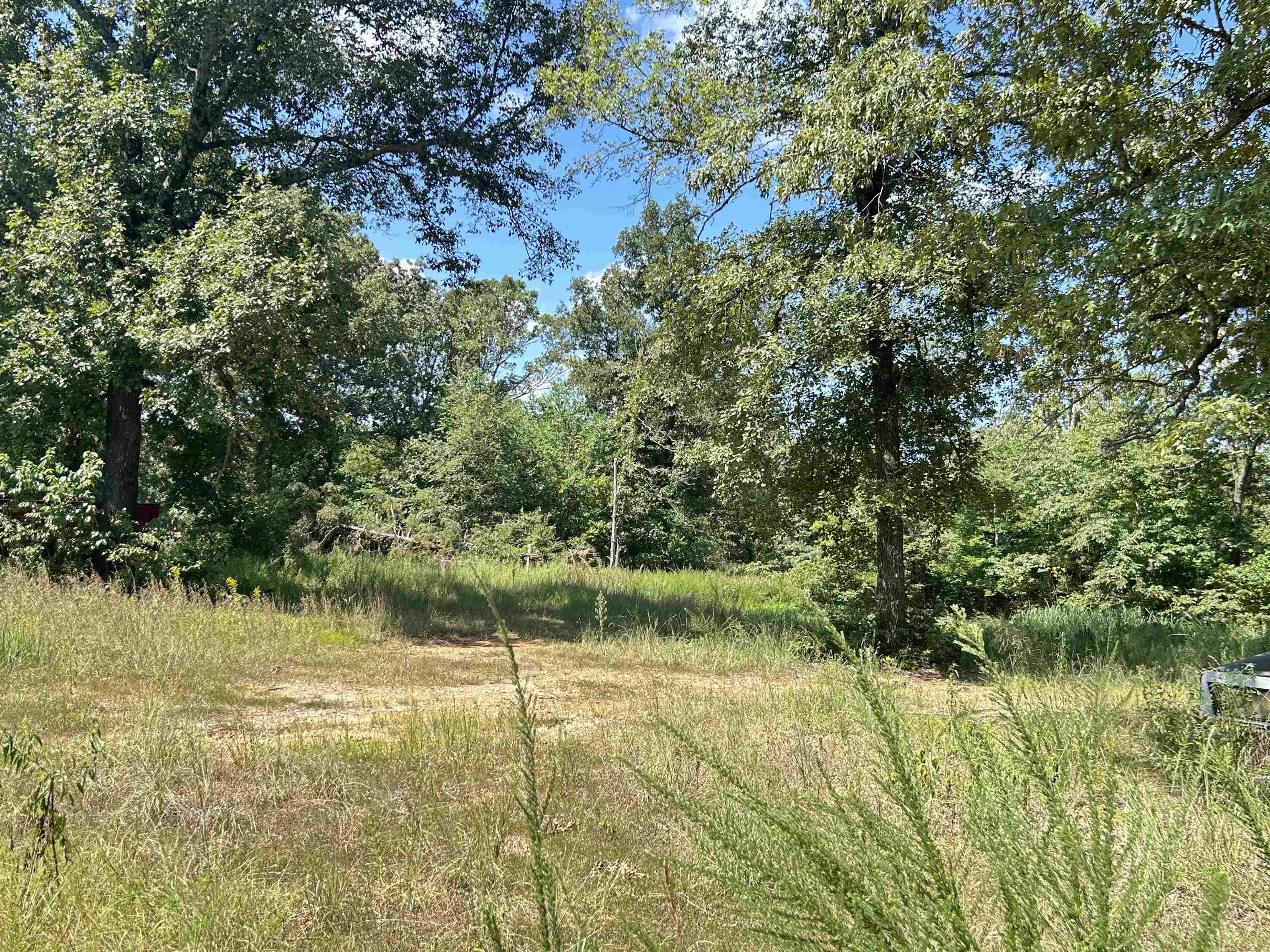 152A E Turkey Pen Road Highland, AR 72542