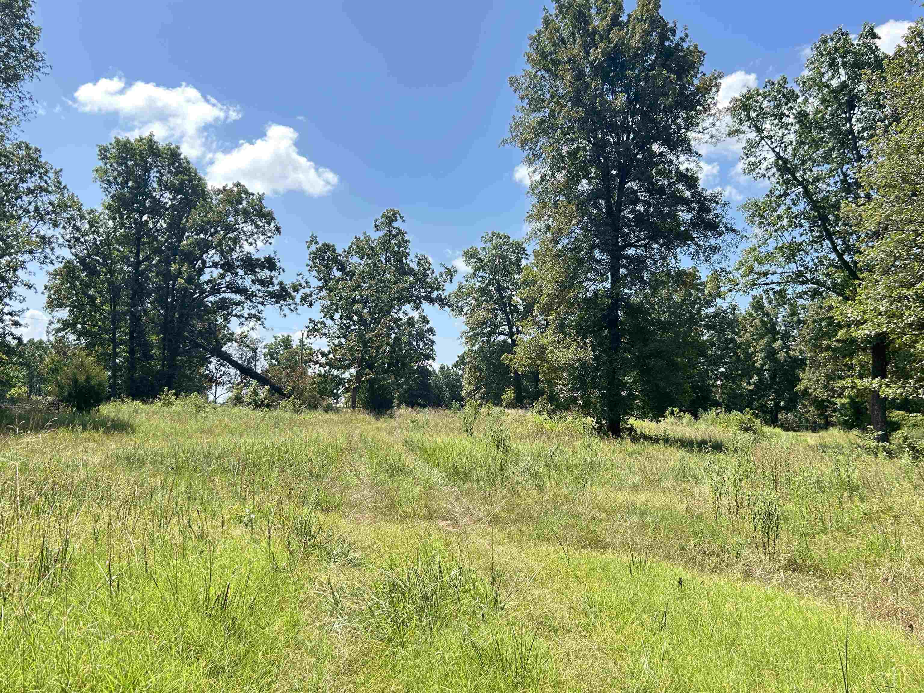 152A E Turkey Pen Road Highland, AR 72542