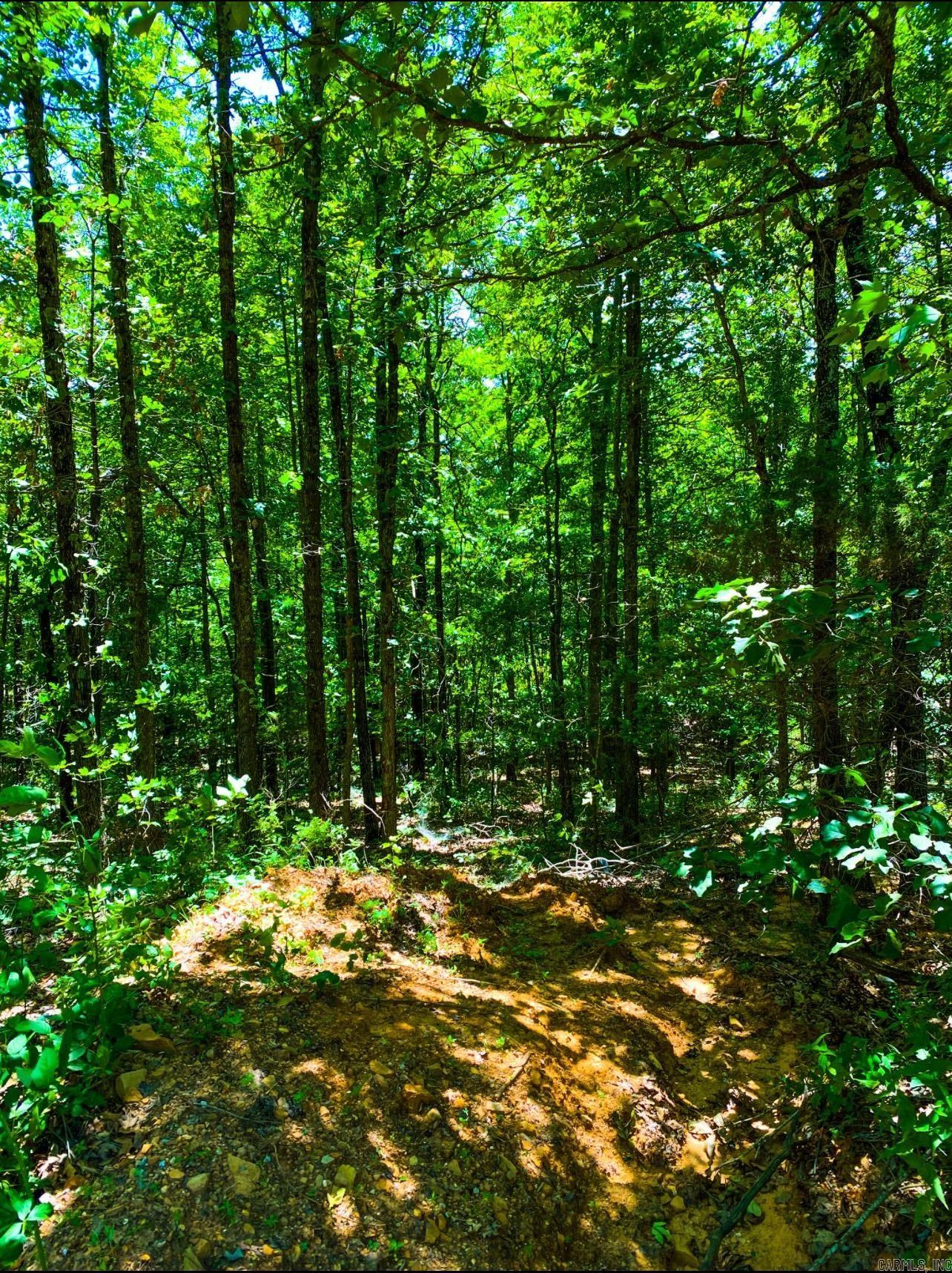 000 County road 9  Kingston, AR