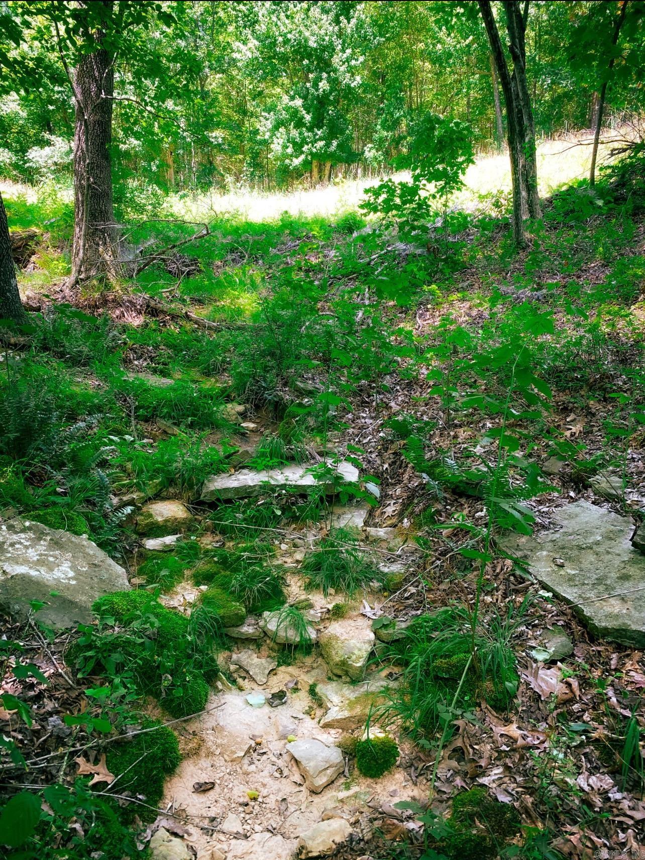 000 County road 9  Kingston, AR