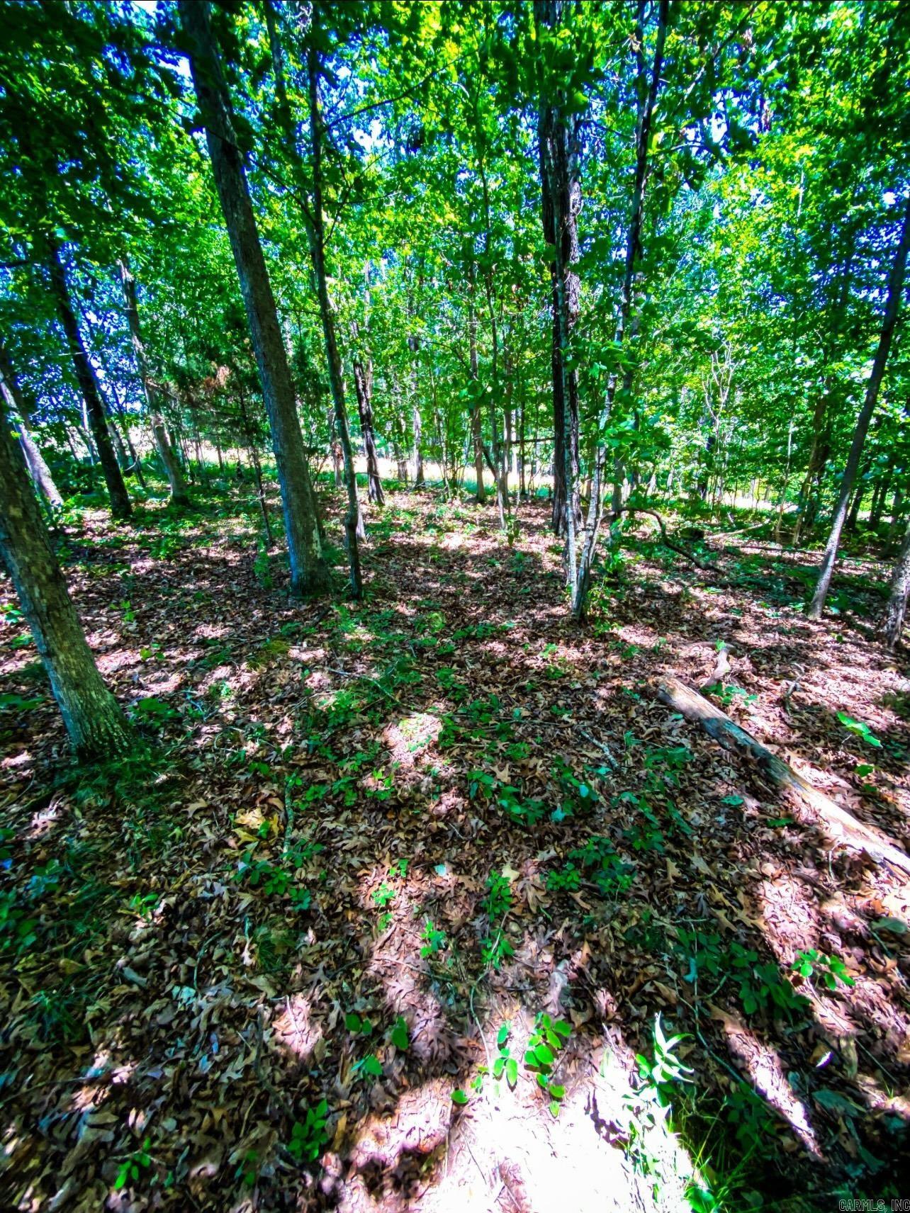 000 County road 9  Kingston, AR