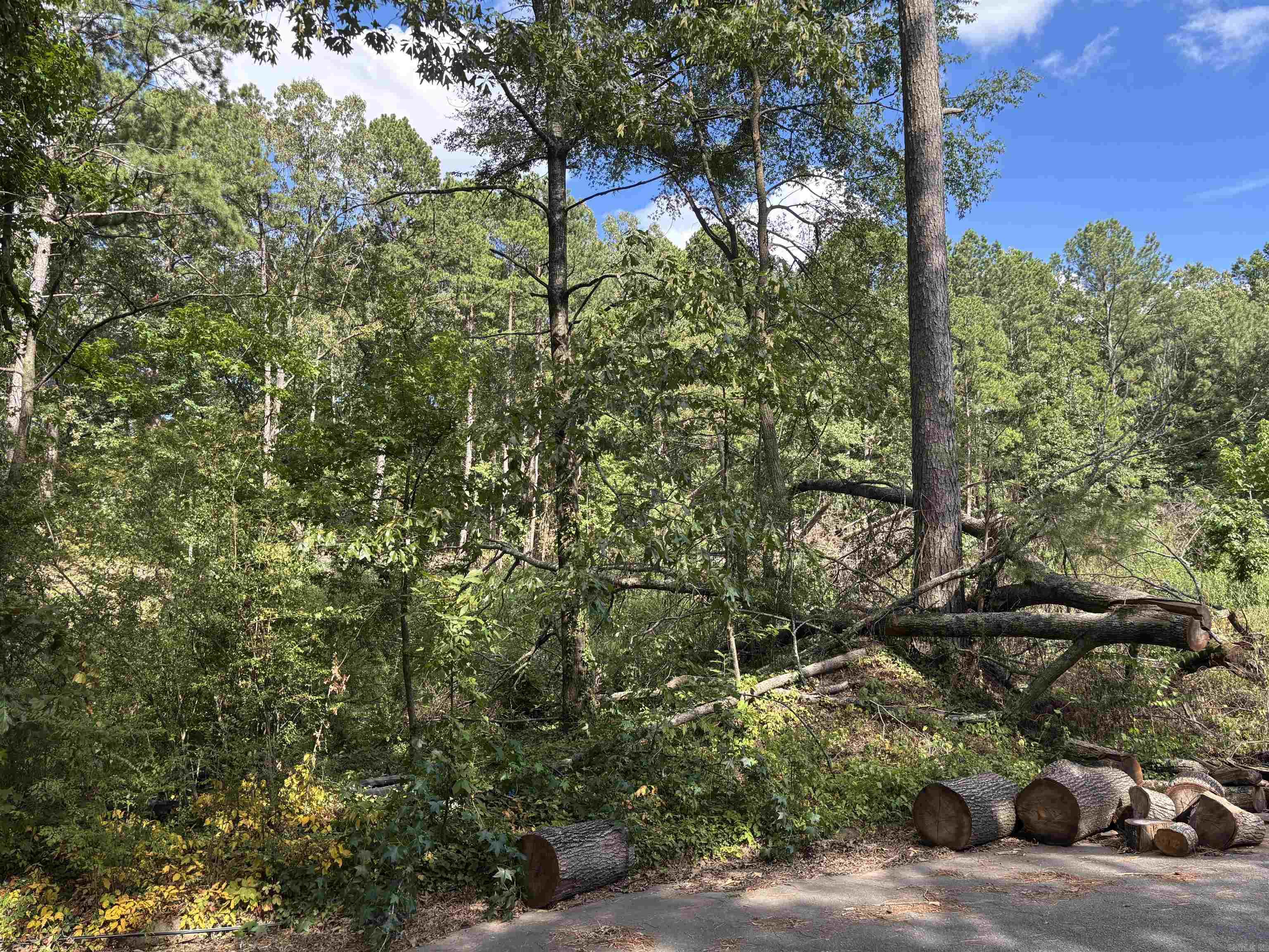 000 Longcoy st  Little Rock, AR