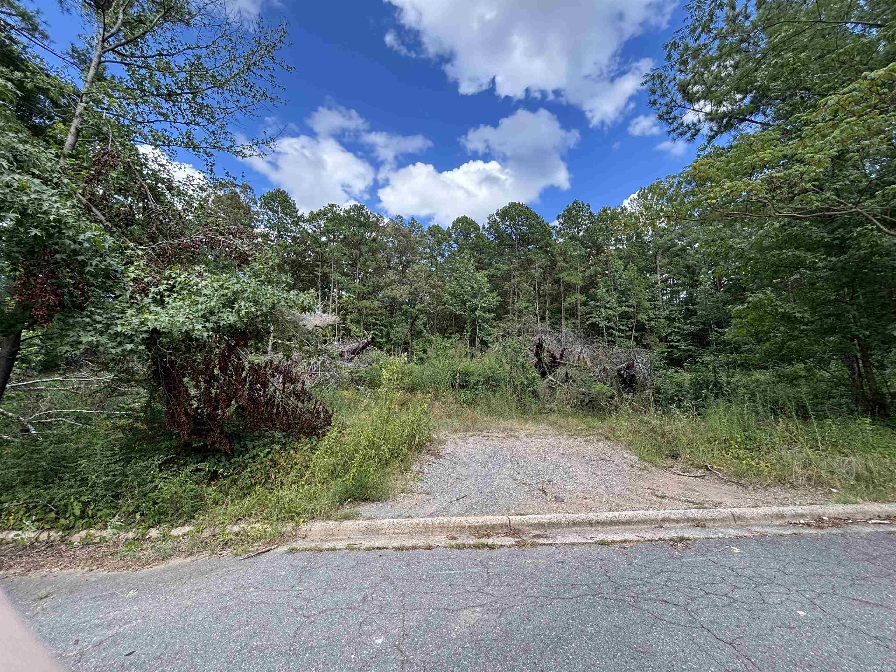 000 Longcoy st  Little Rock, AR