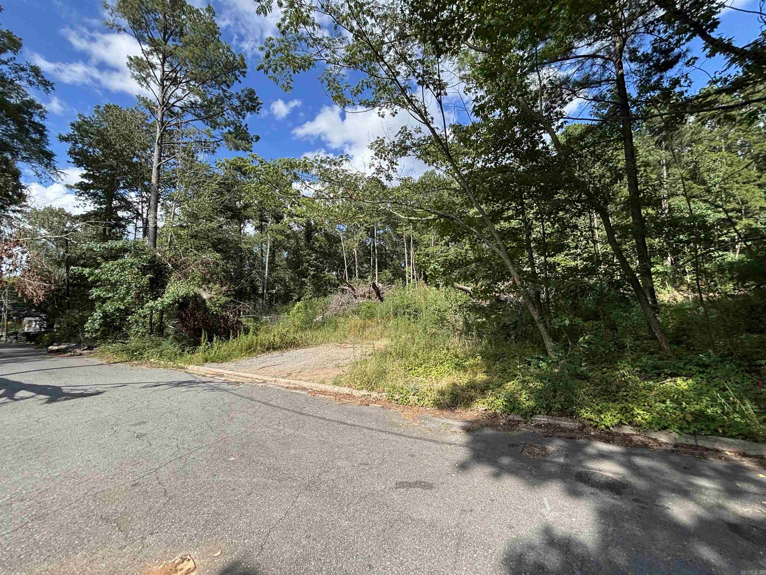 000 Longcoy st  Little Rock, AR