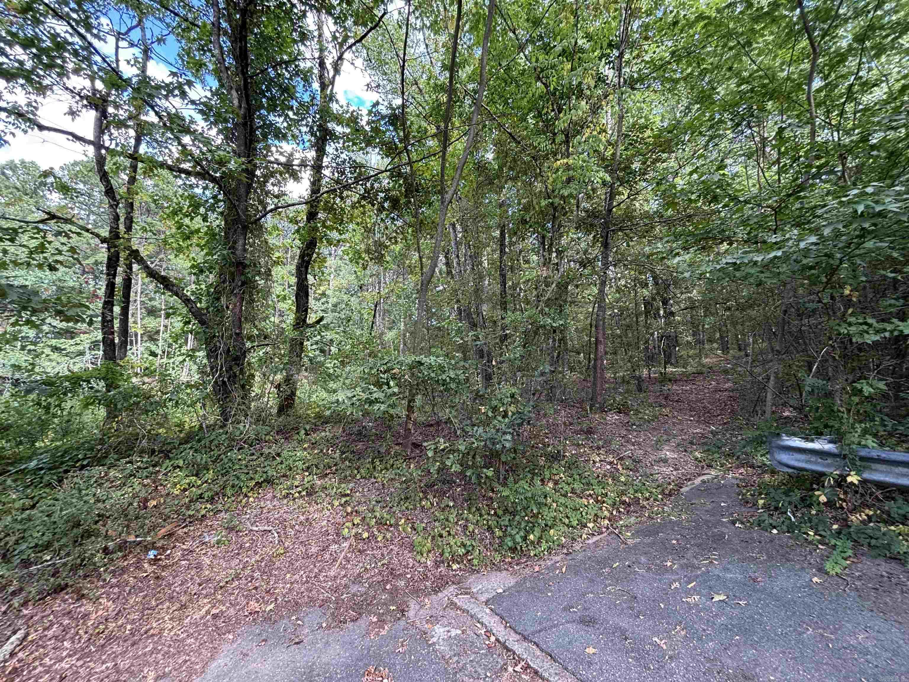 000 Longcoy st  Little Rock, AR