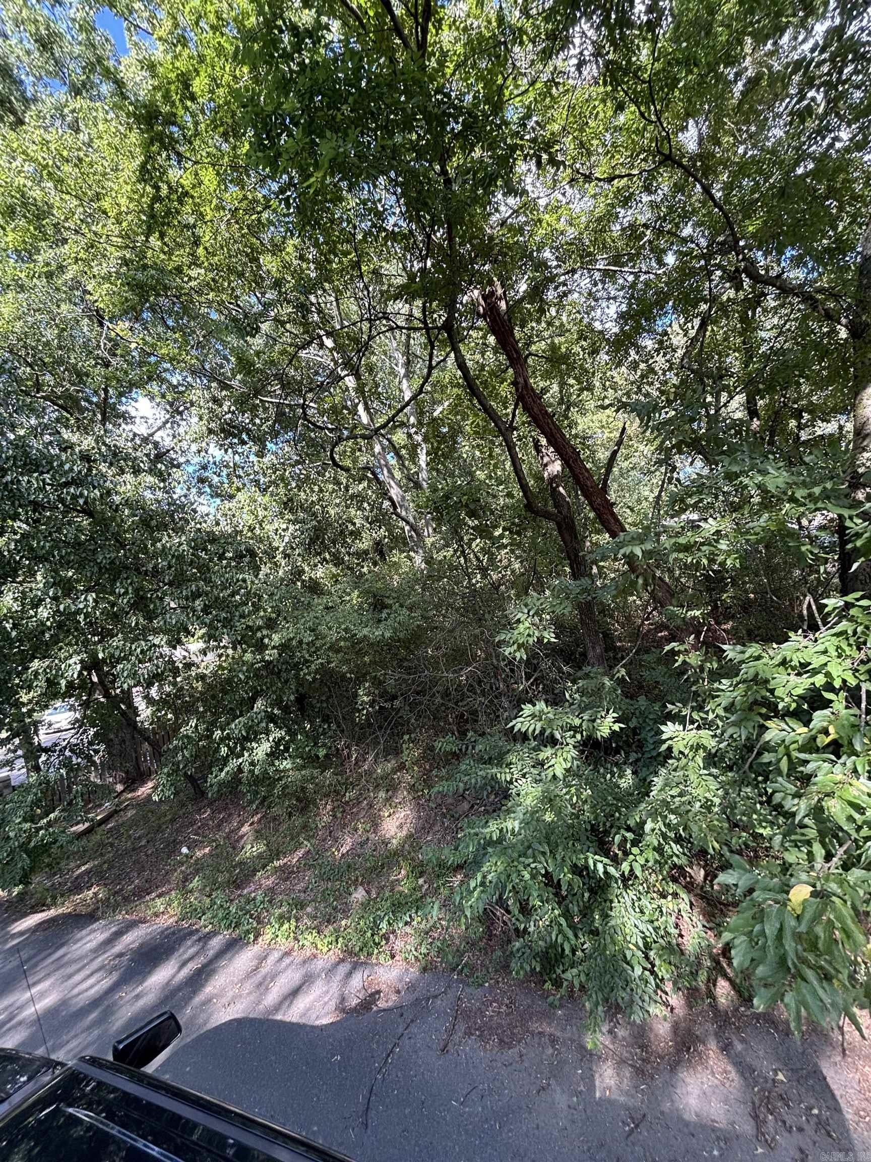 000 Potter st  Little Rock, AR