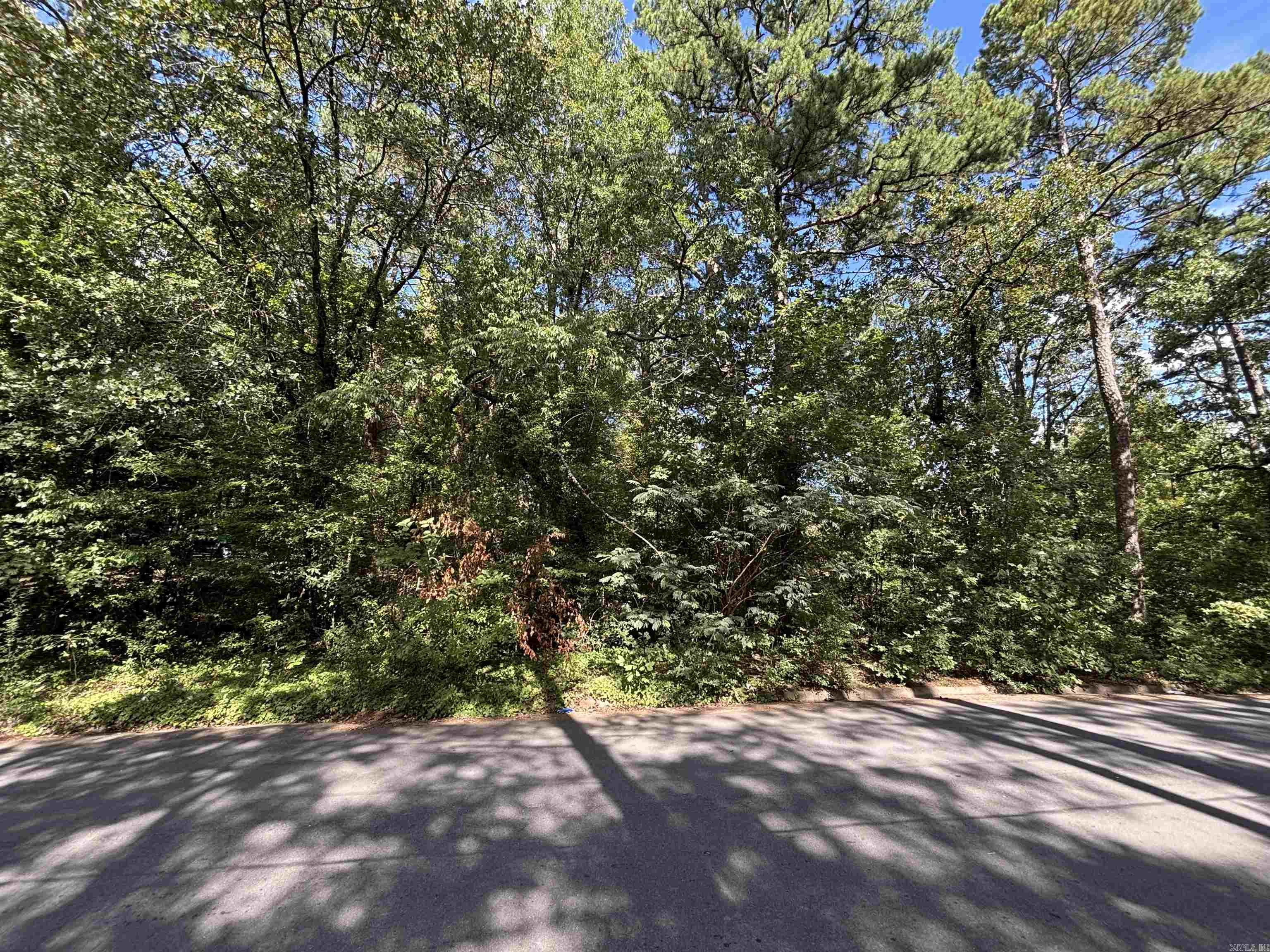 000 Elam st  Little Rock, AR