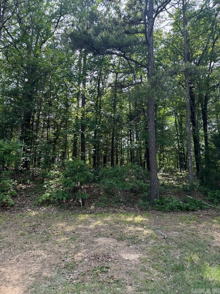 Lot 61 Cedar Valley  Fairfield Bay, AR