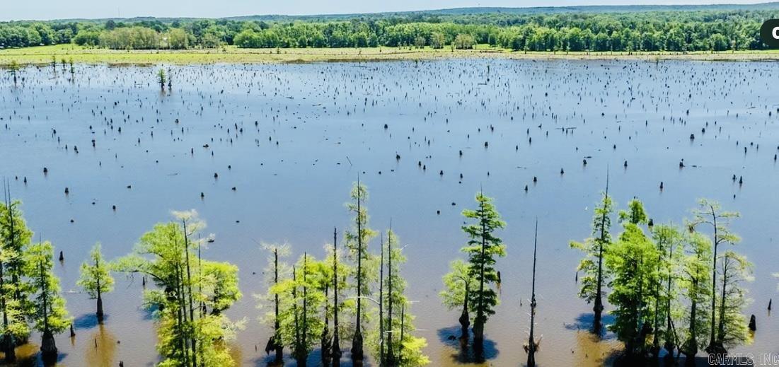 171 waterfront Cove Conway, AR 72032