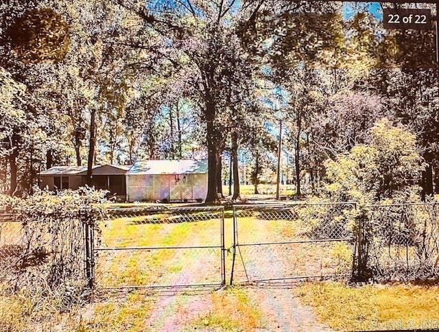 171 waterfront Cove Conway, AR 72032