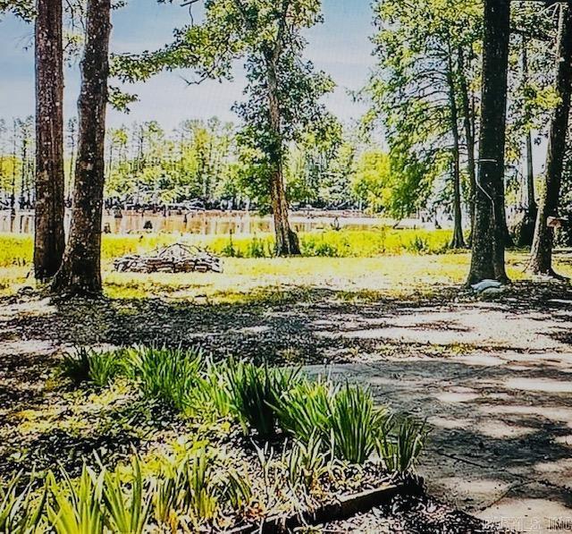 171 waterfront Cove Conway, AR 72032