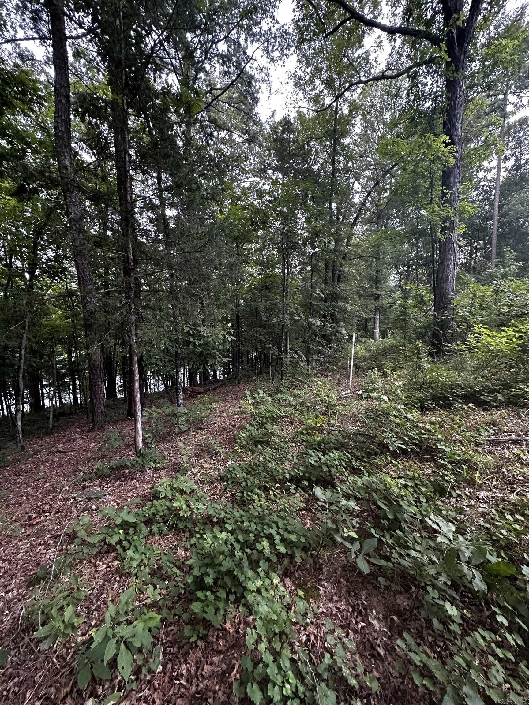 Lot 70 Cobalt Bay Drive  Shirley, AR