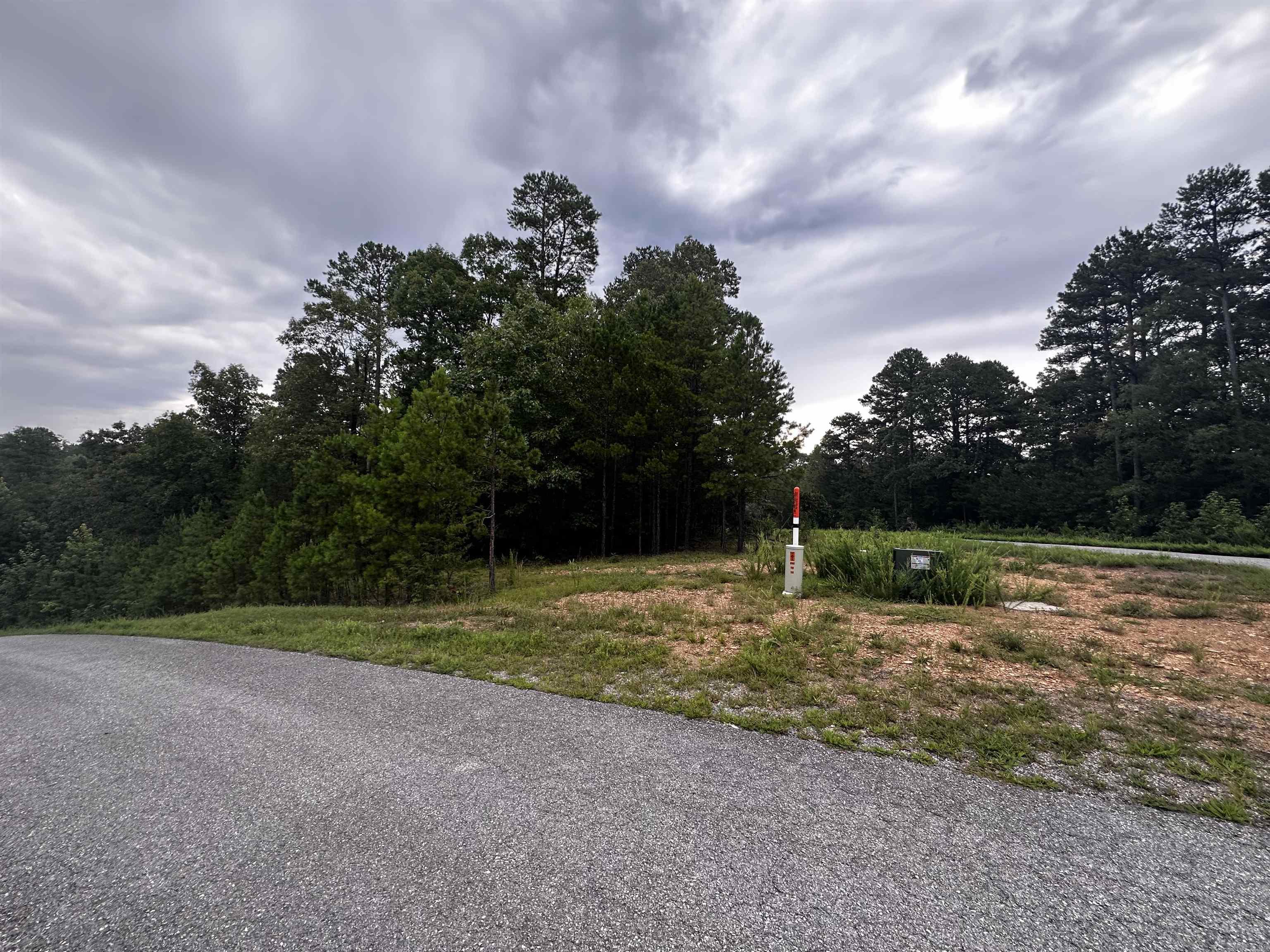 Lot 57 Cobalt Bay Drive  Shirley, AR