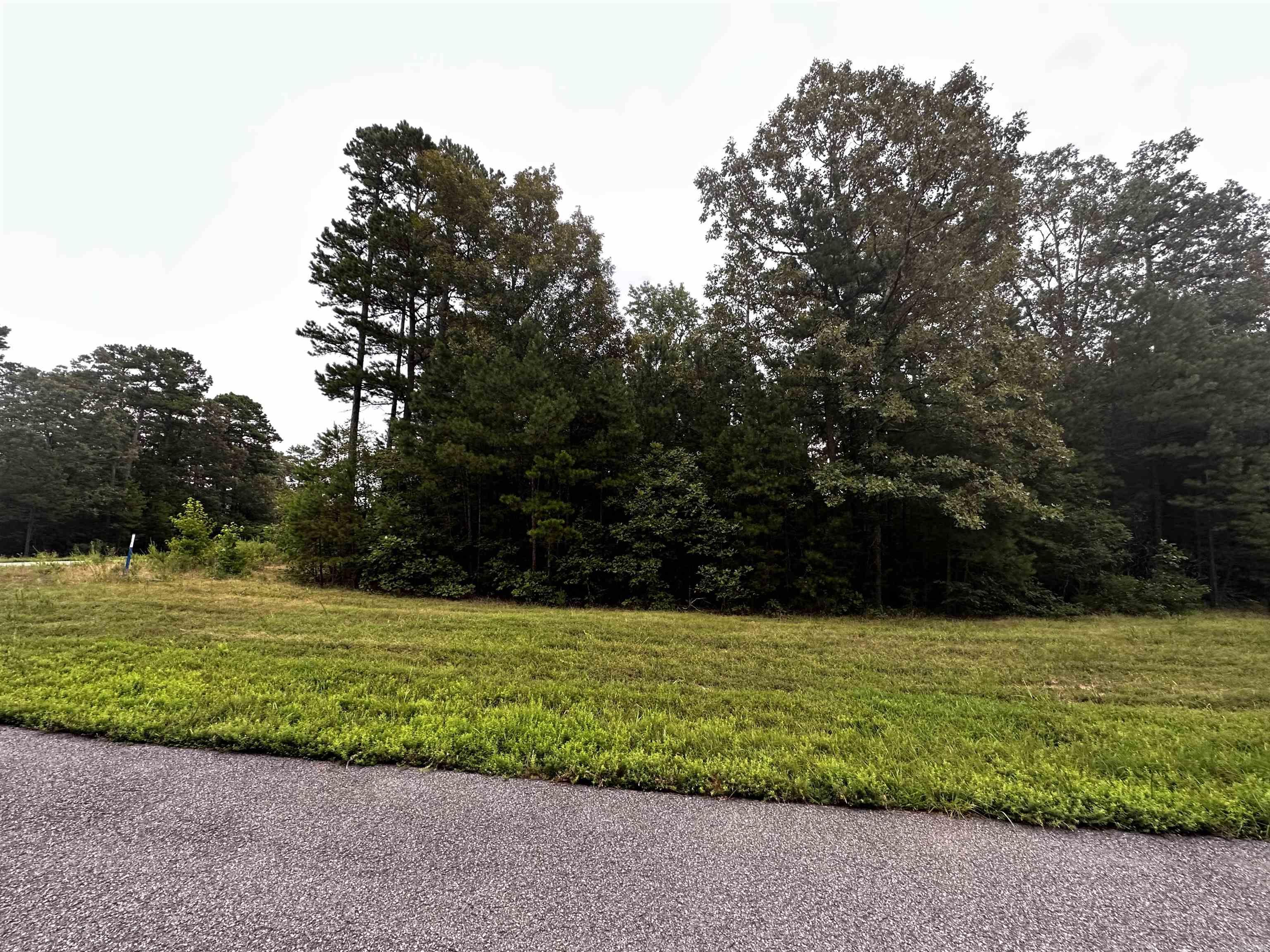 Lot 64 Cobalt Bay Drive  Shirley, AR