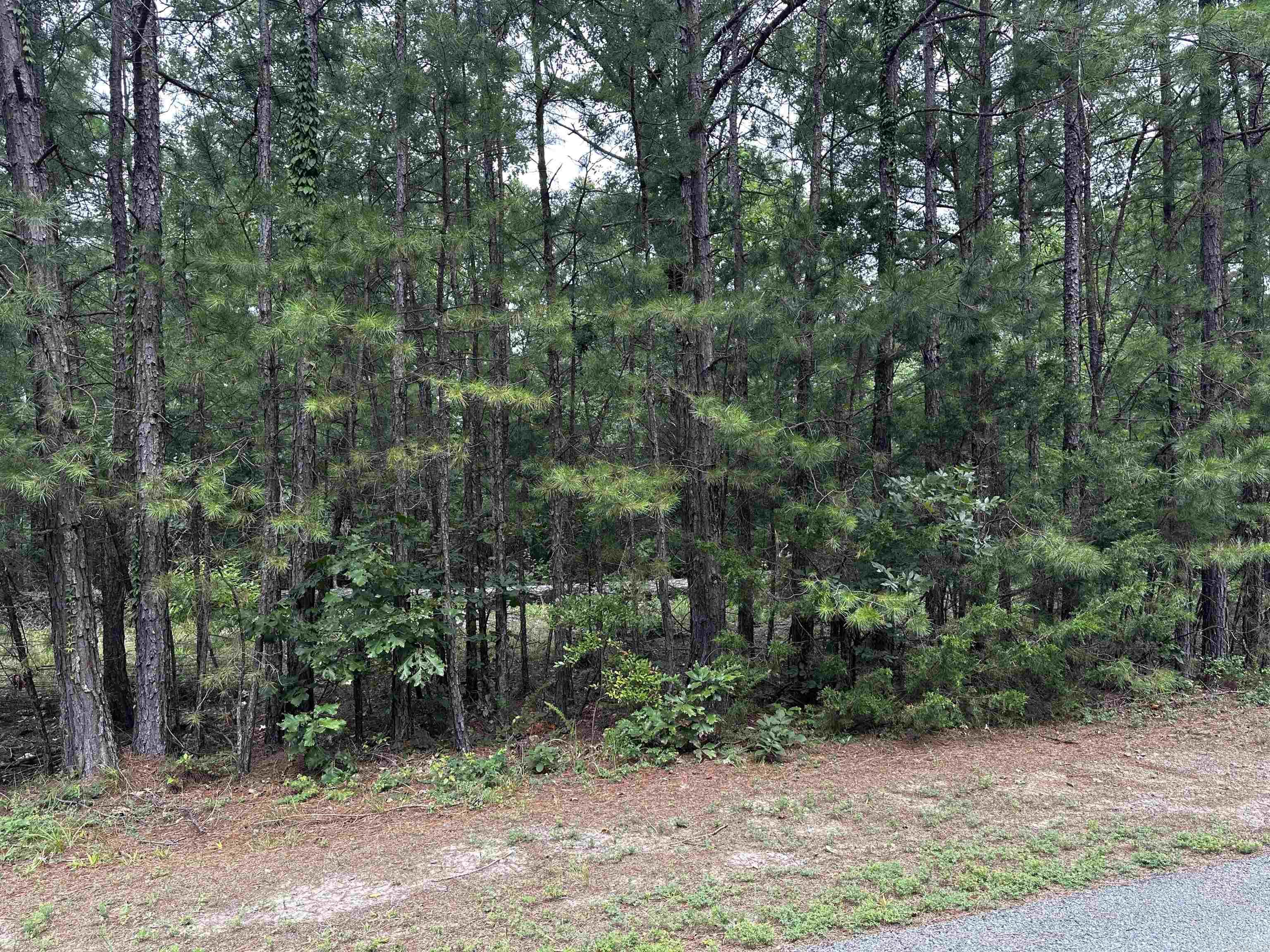 Lot 87 Cobalt Bay Drive  Shirley, AR