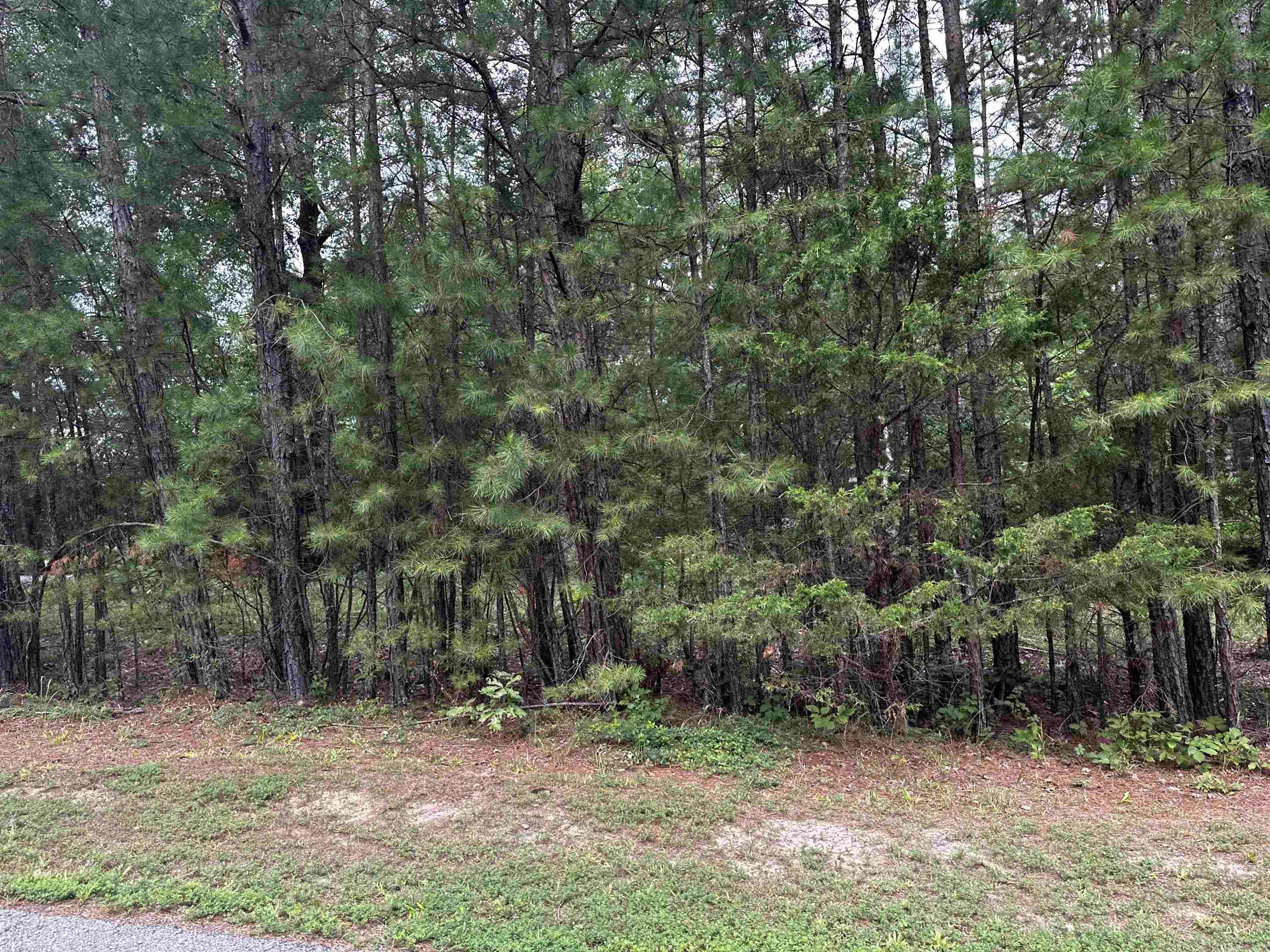 Lot 87 Cobalt Bay Drive  Shirley, AR