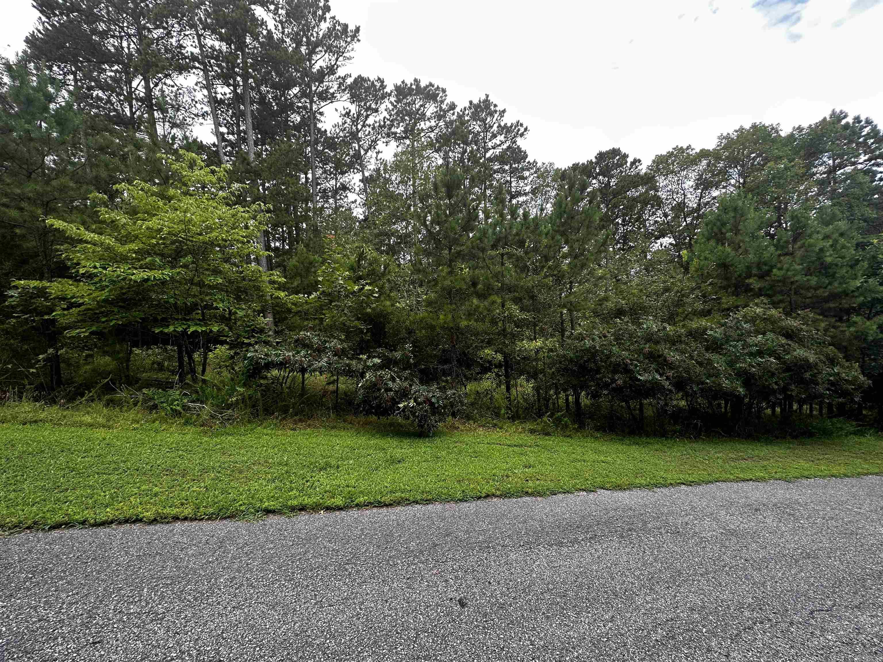 Lot 90 Cobalt Bay Drive  Shirley, AR