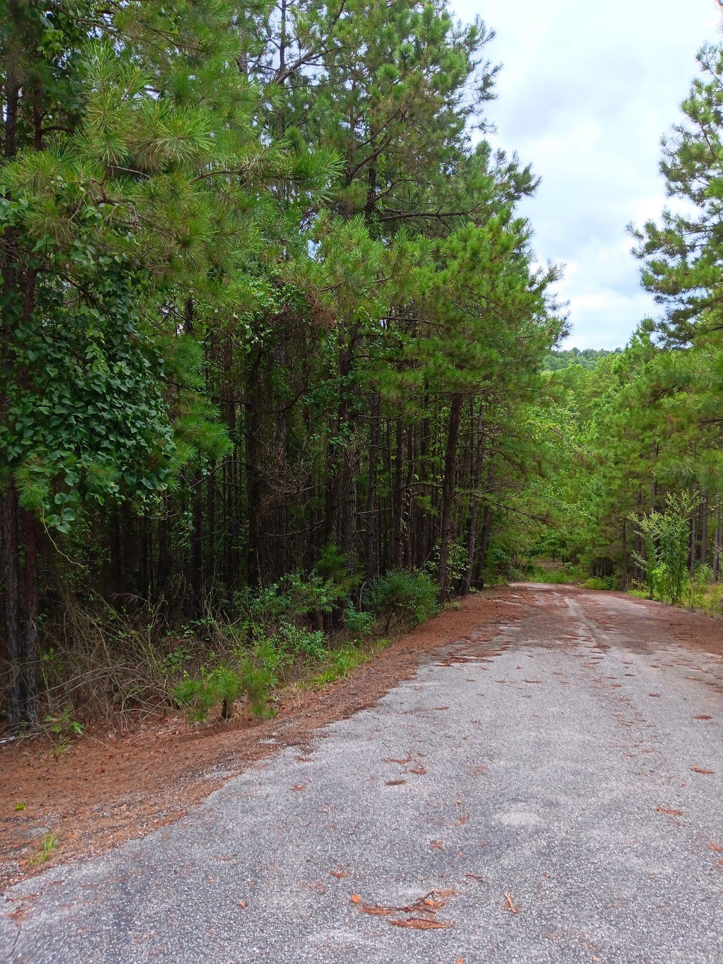 Lot 14 Thompson Cove Lane  Shirley, AR