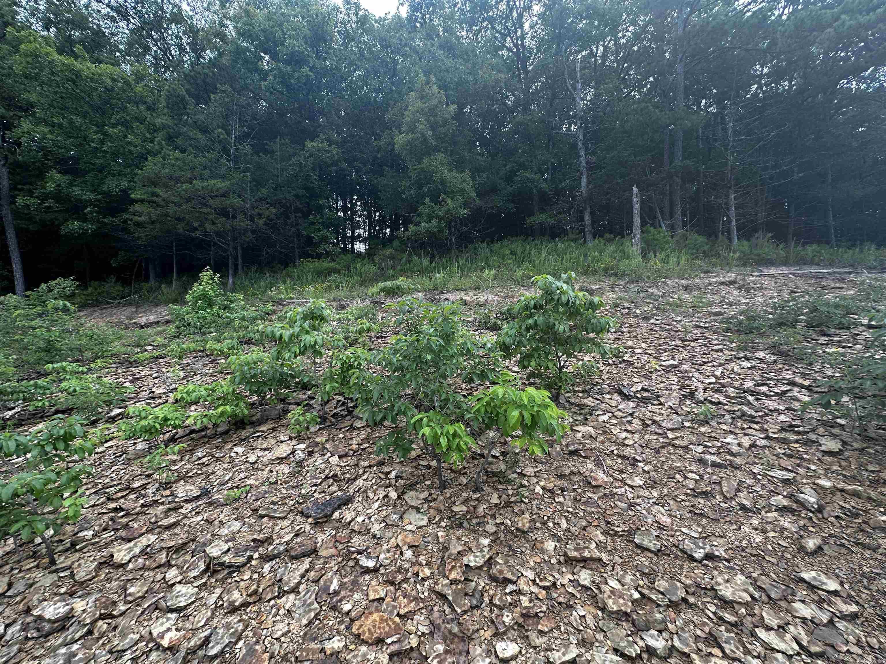 Lot 72 Cobalt Bay Drive  Shirley, AR