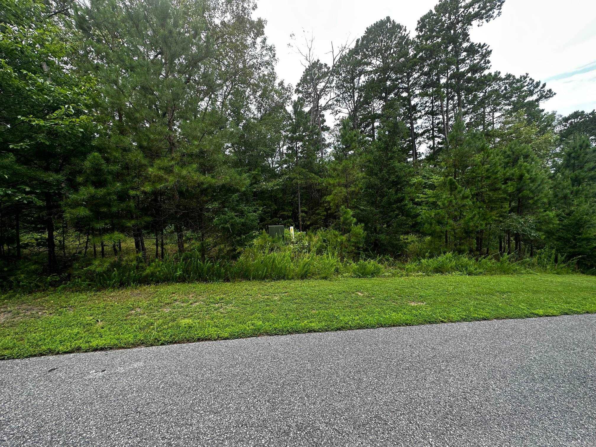 Lot 88 Cobalt Bay Drive  Shirley, AR