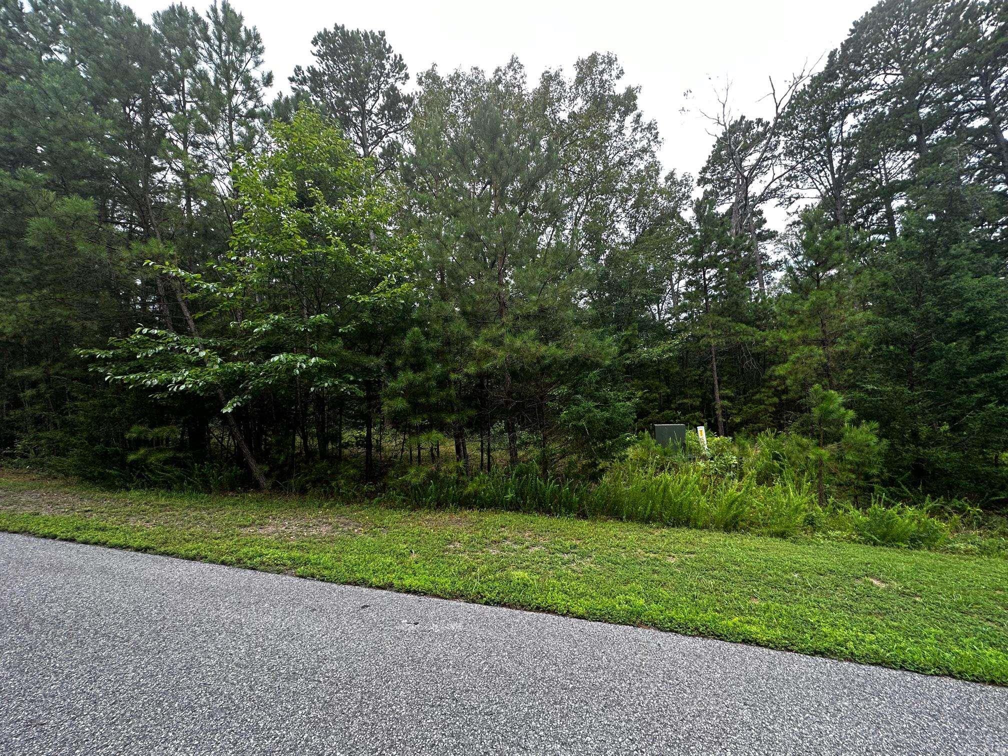 Lot 88 Cobalt Bay Drive  Shirley, AR