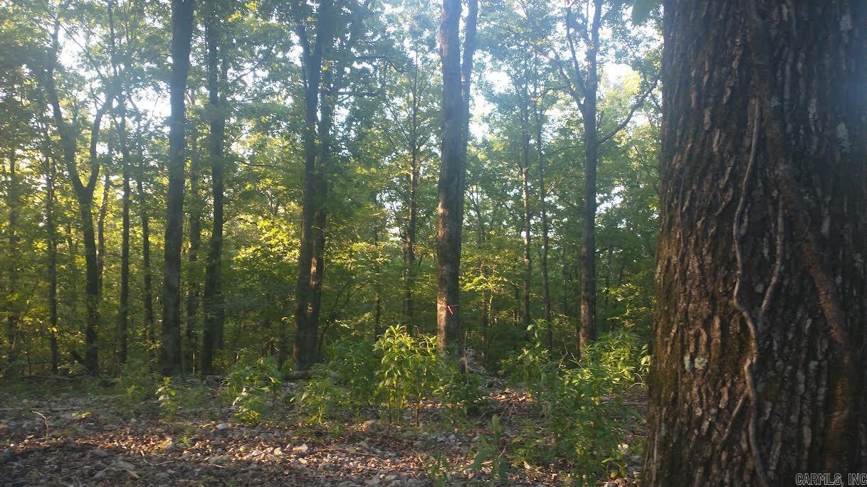 Burnham Mountai E HWY 8 E  Glenwood, AR