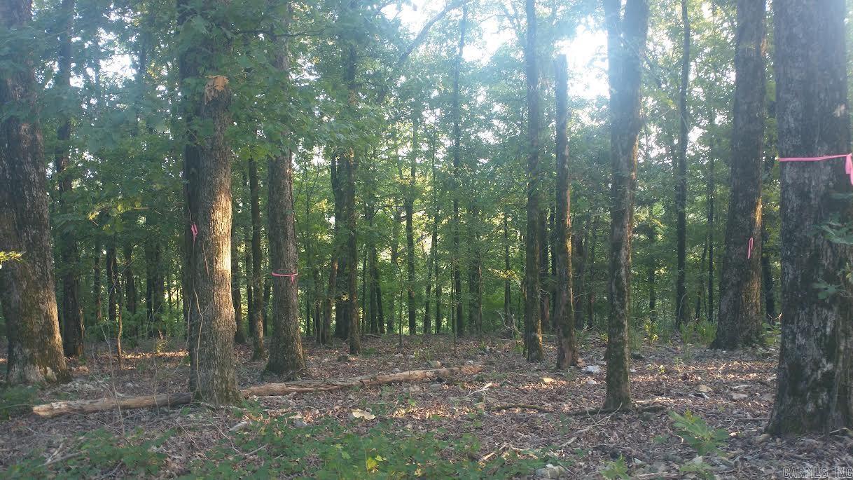 Burnham Mountai E HWY 8 E  Glenwood, AR