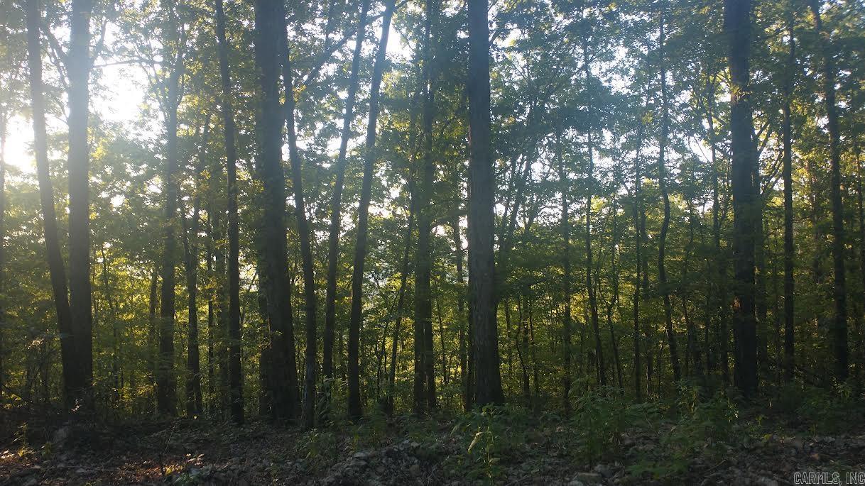 Burnham Mountai E HWY 8 E  Glenwood, AR