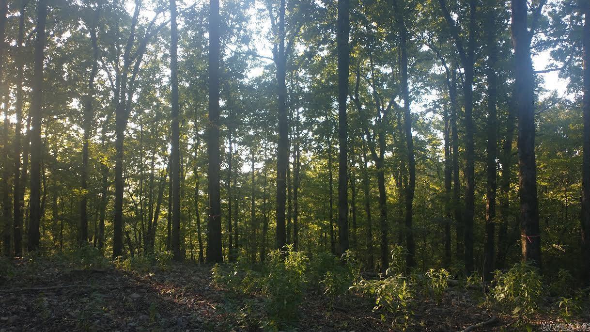 Burnham Mountai E HWY 8 E  Glenwood, AR