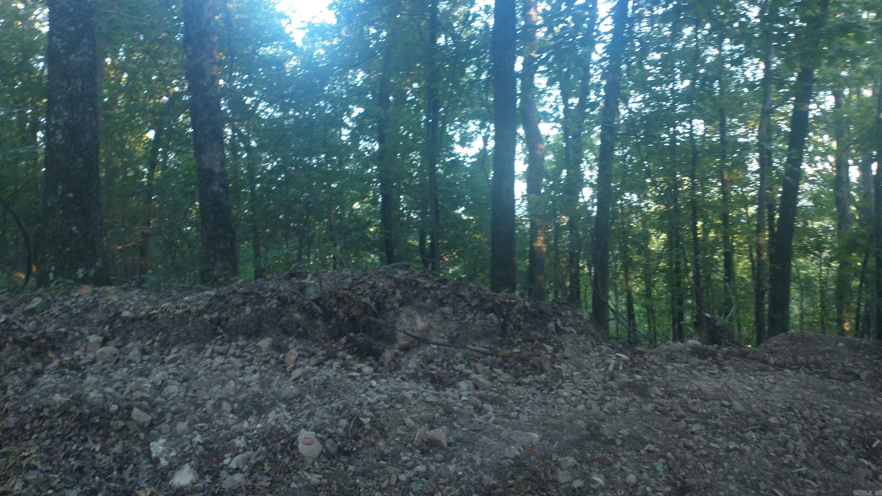 Burnham Mountai E HWY 8 E  Glenwood, AR