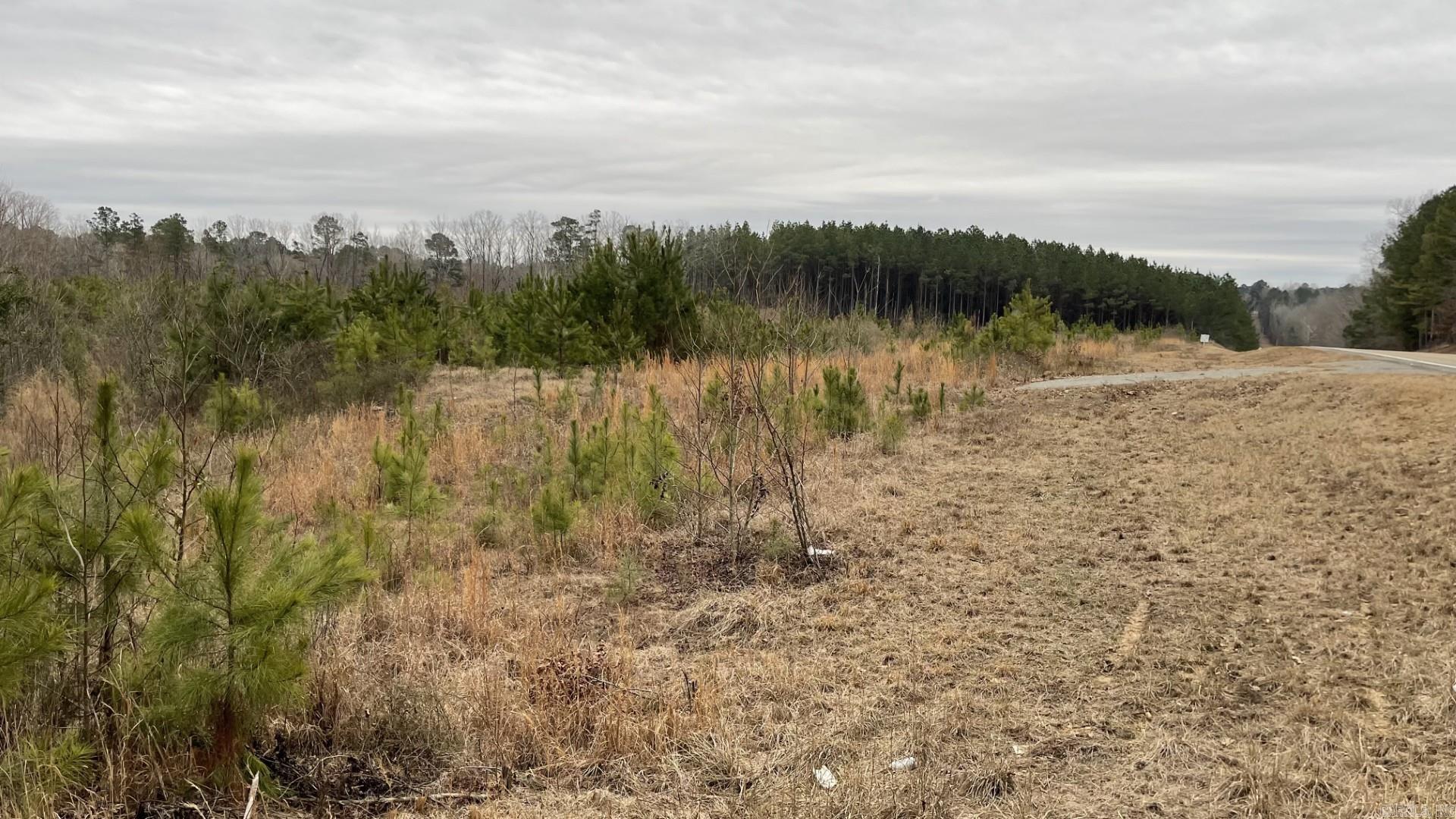 4684-4866 AR-291  Prattsville, AR