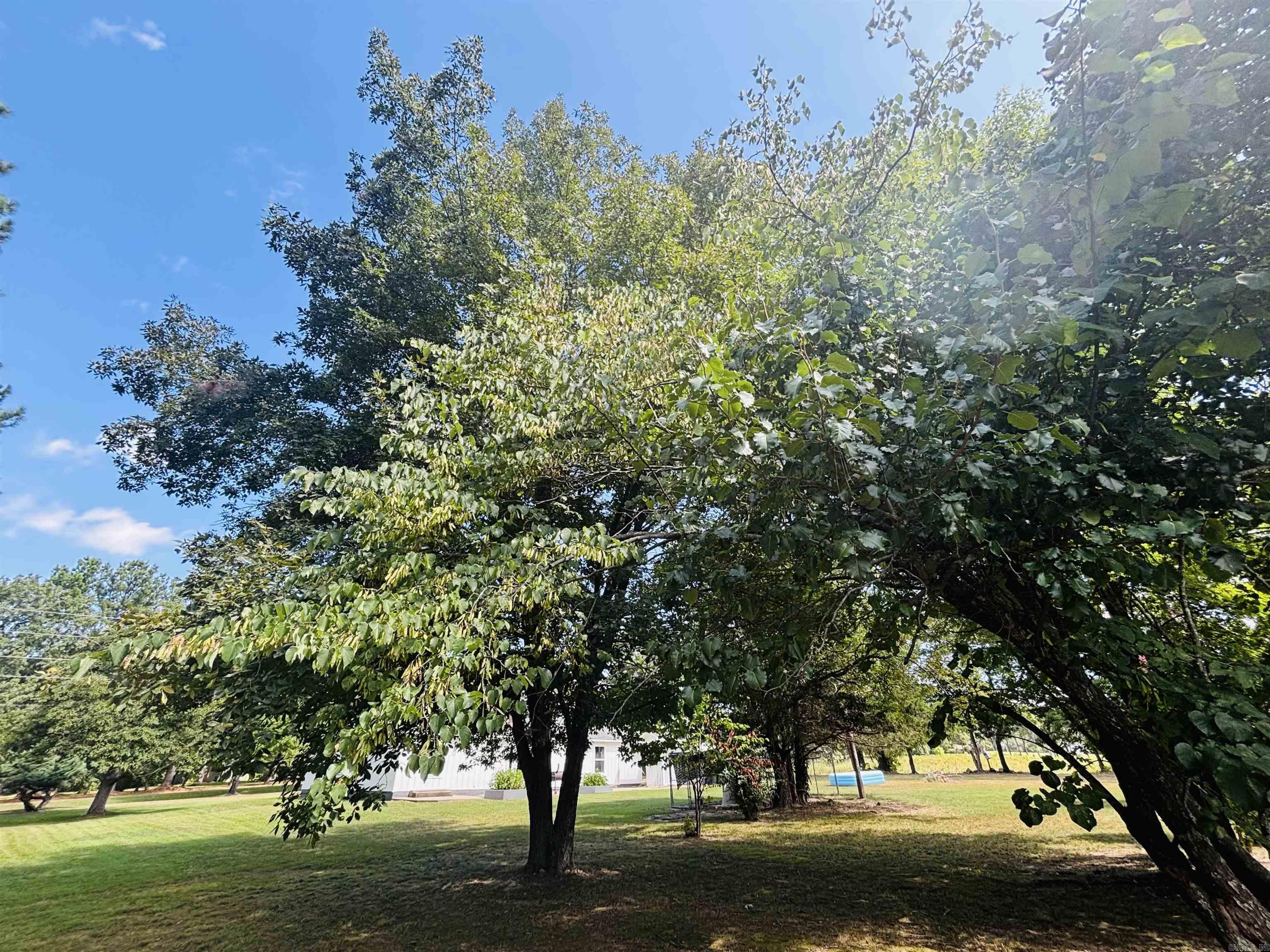 706 N 333 Highway Marshall, AR 72650