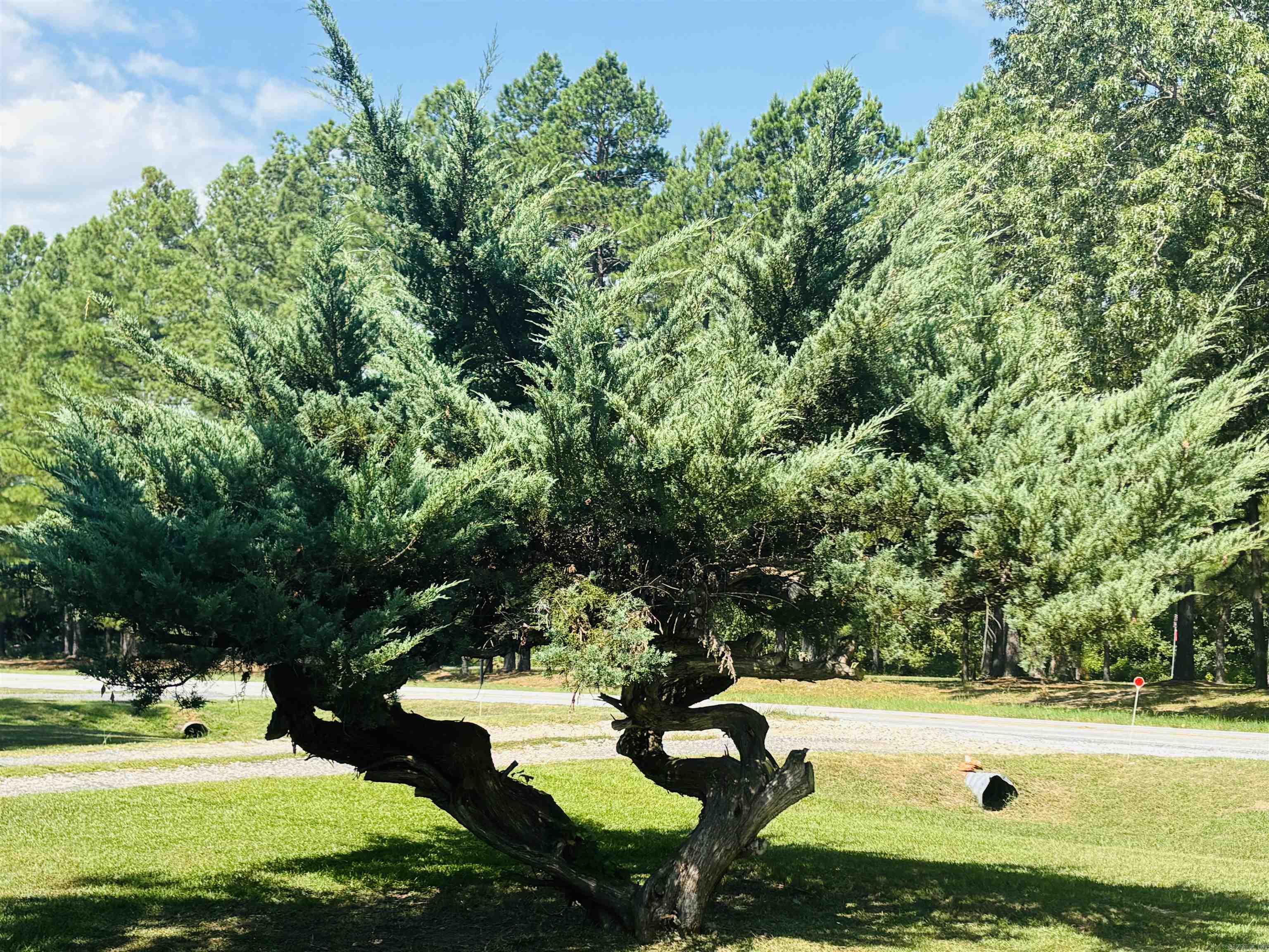 706 N 333 Highway Marshall, AR 72650