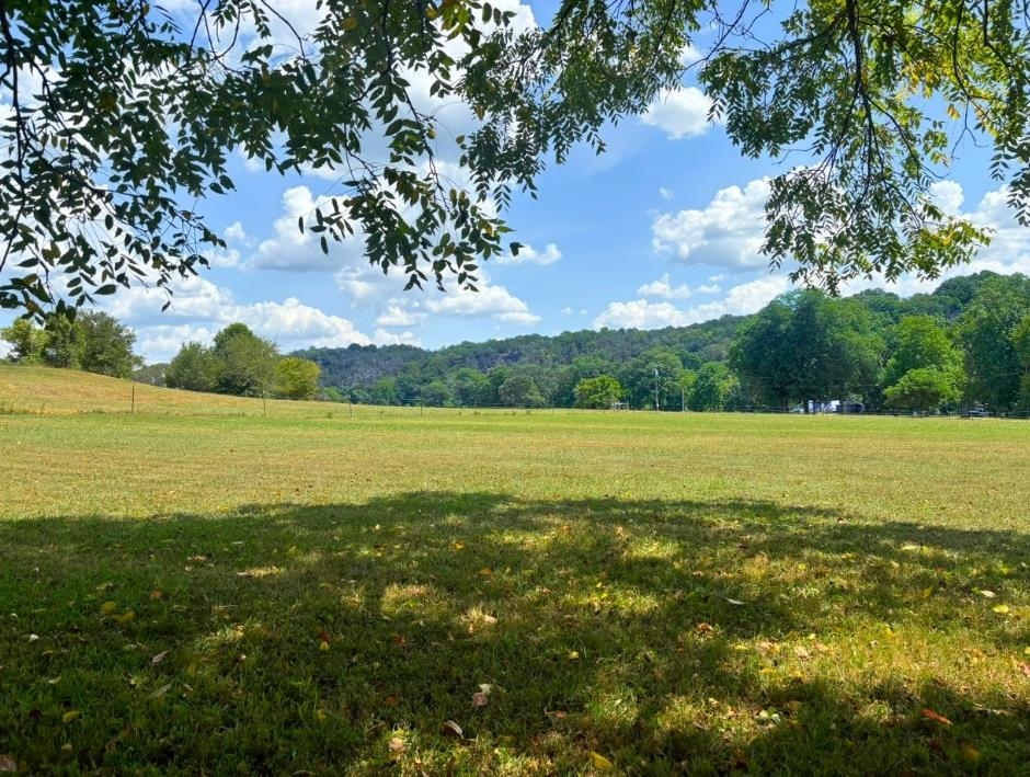  Griffin Block 2, Lot 2  Hardy, AR