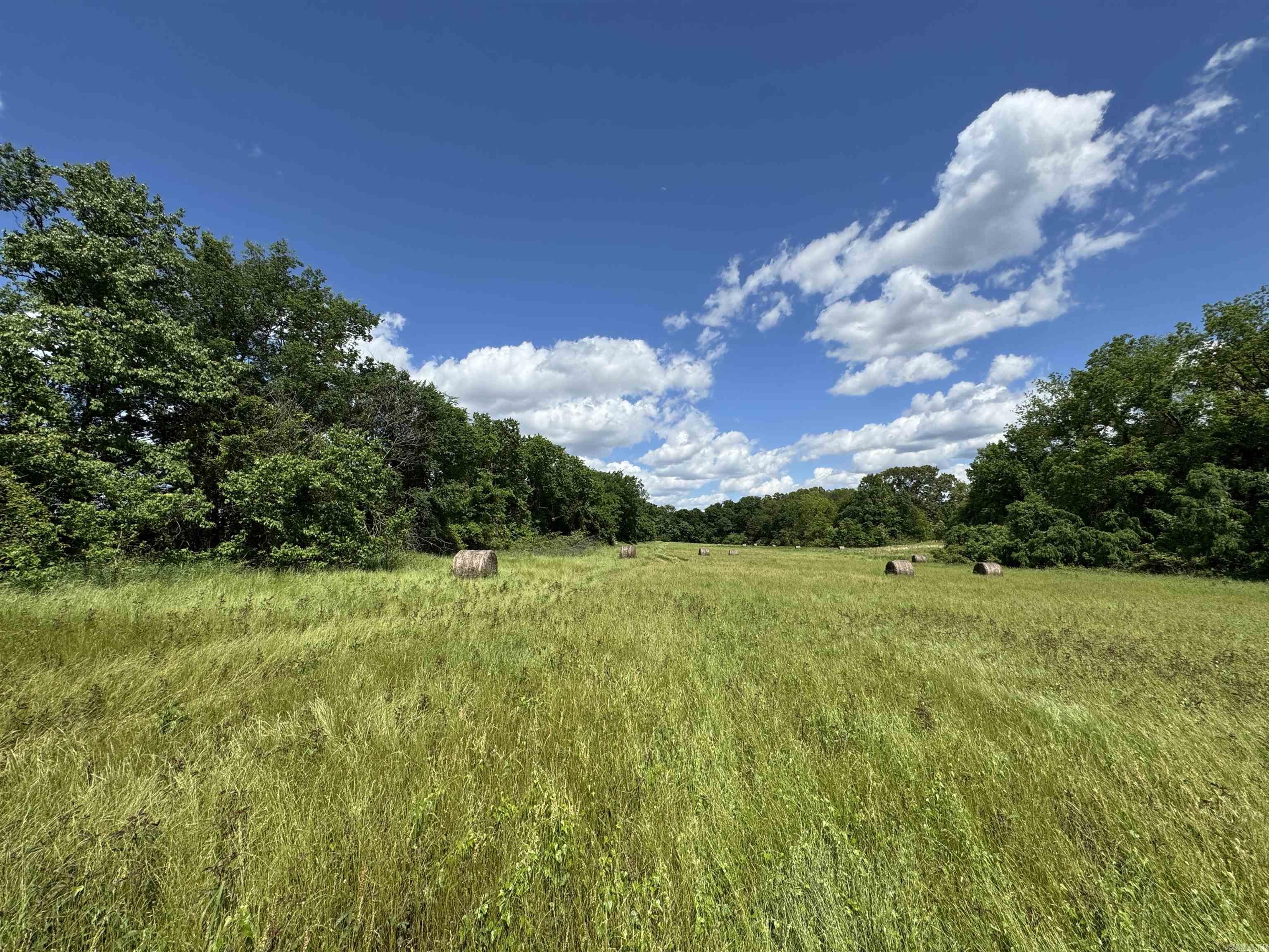Tract 10 Hwy 105 South  Atkins, AR