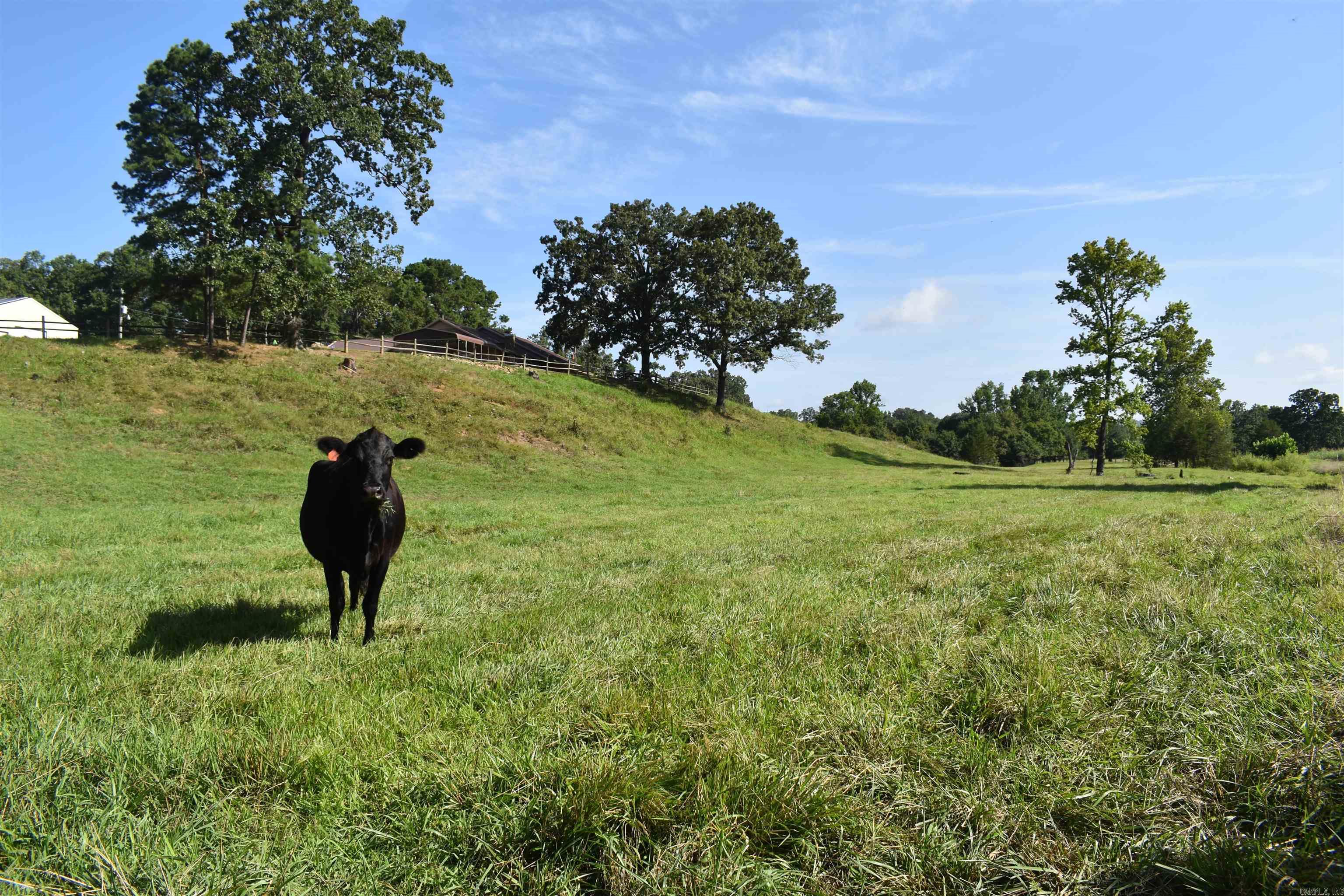 158 CLC Lane  Mena, AR