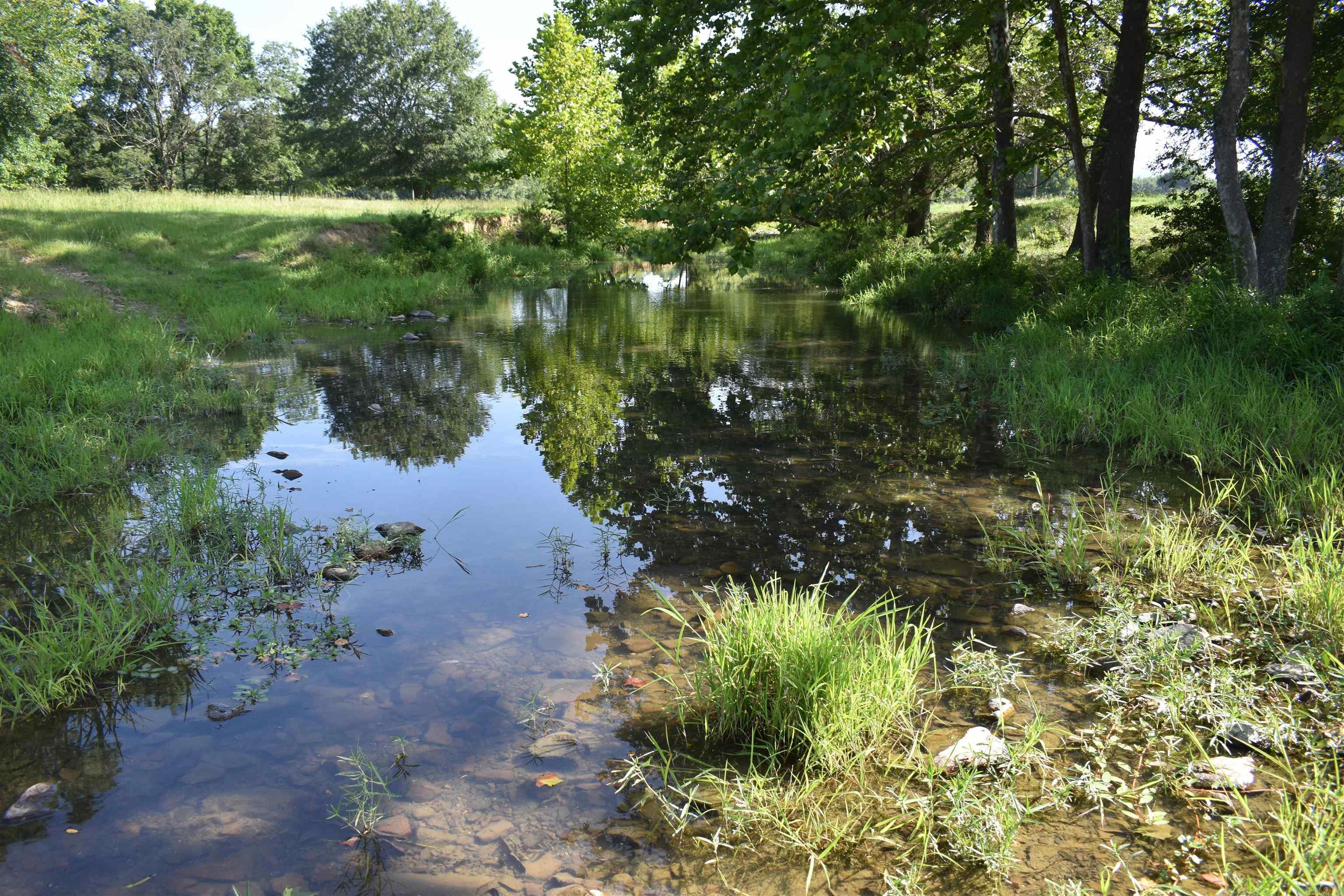 158 CLC Lane  Mena, AR