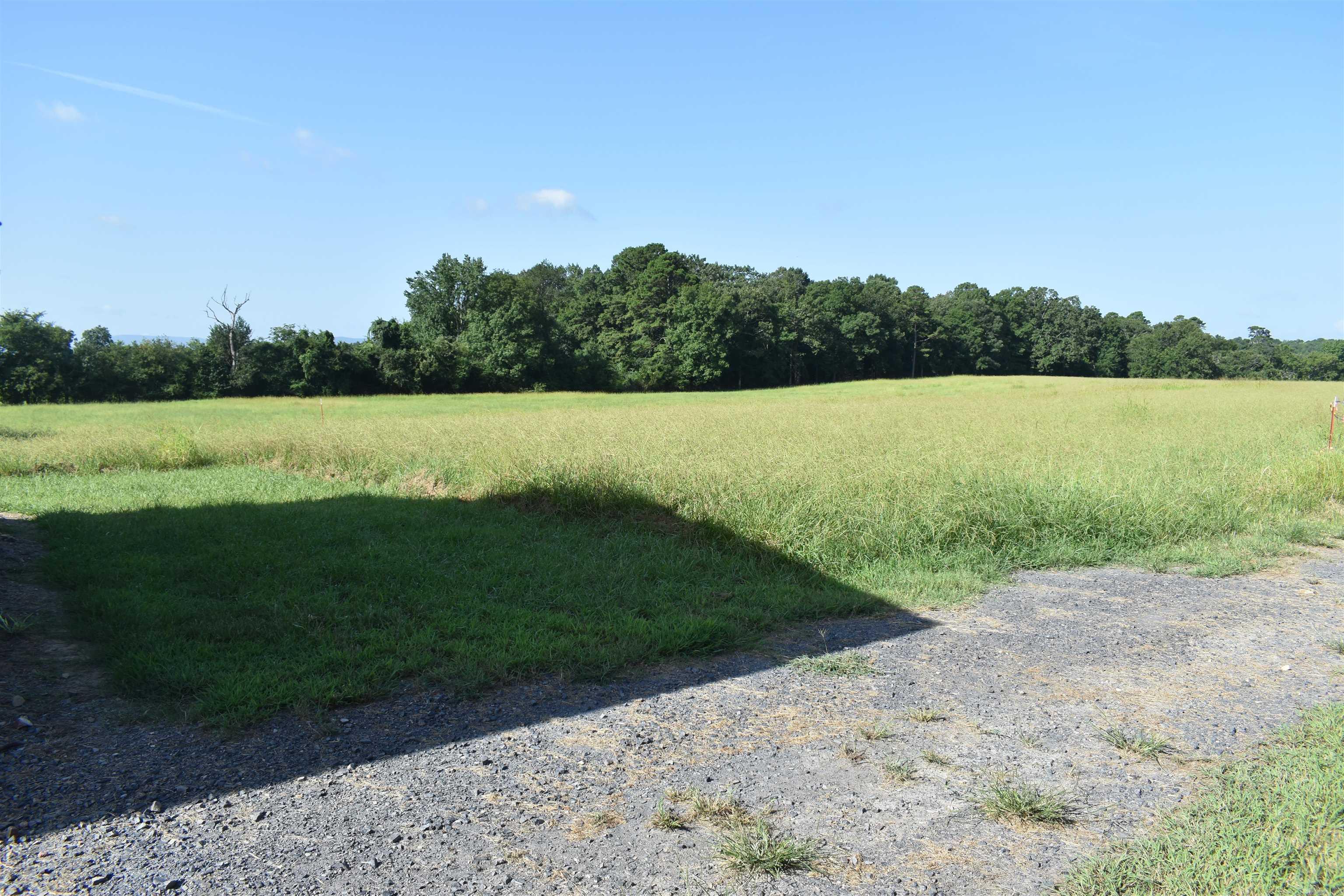 158 CLC Lane  Mena, AR