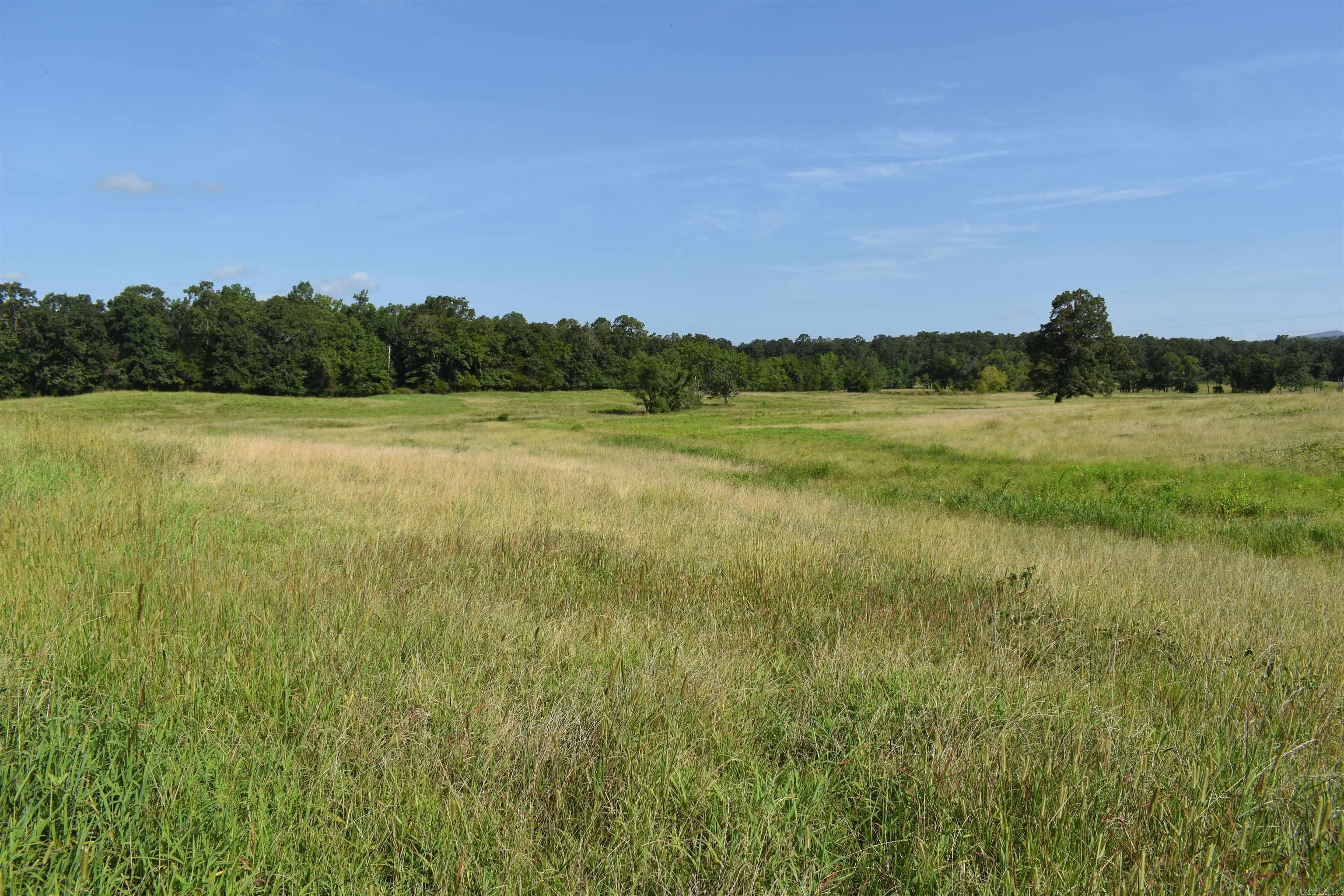 158 CLC Lane  Mena, AR