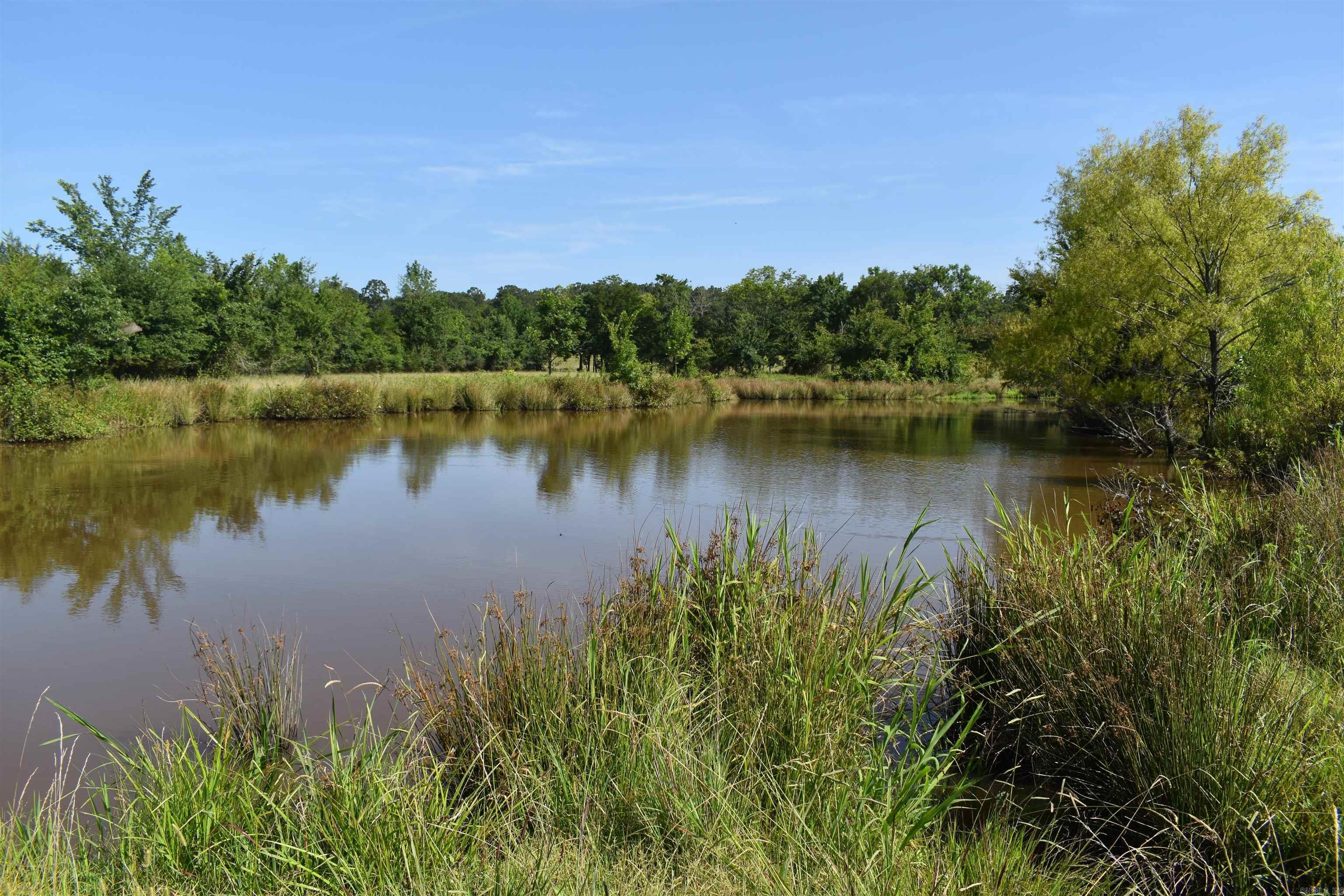 158 CLC Lane  Mena, AR