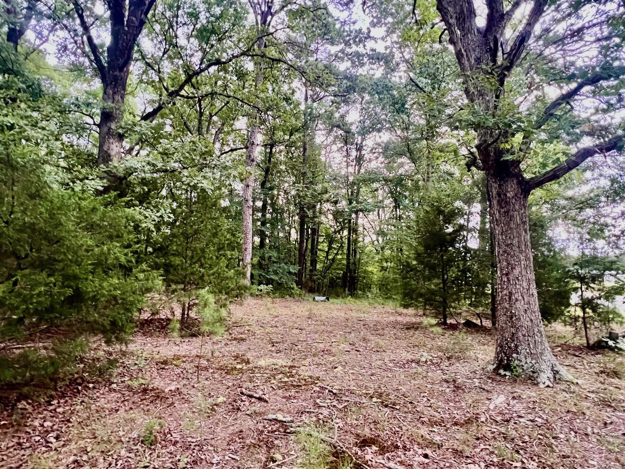 3348 Hwy 71 S Mena, AR 71953