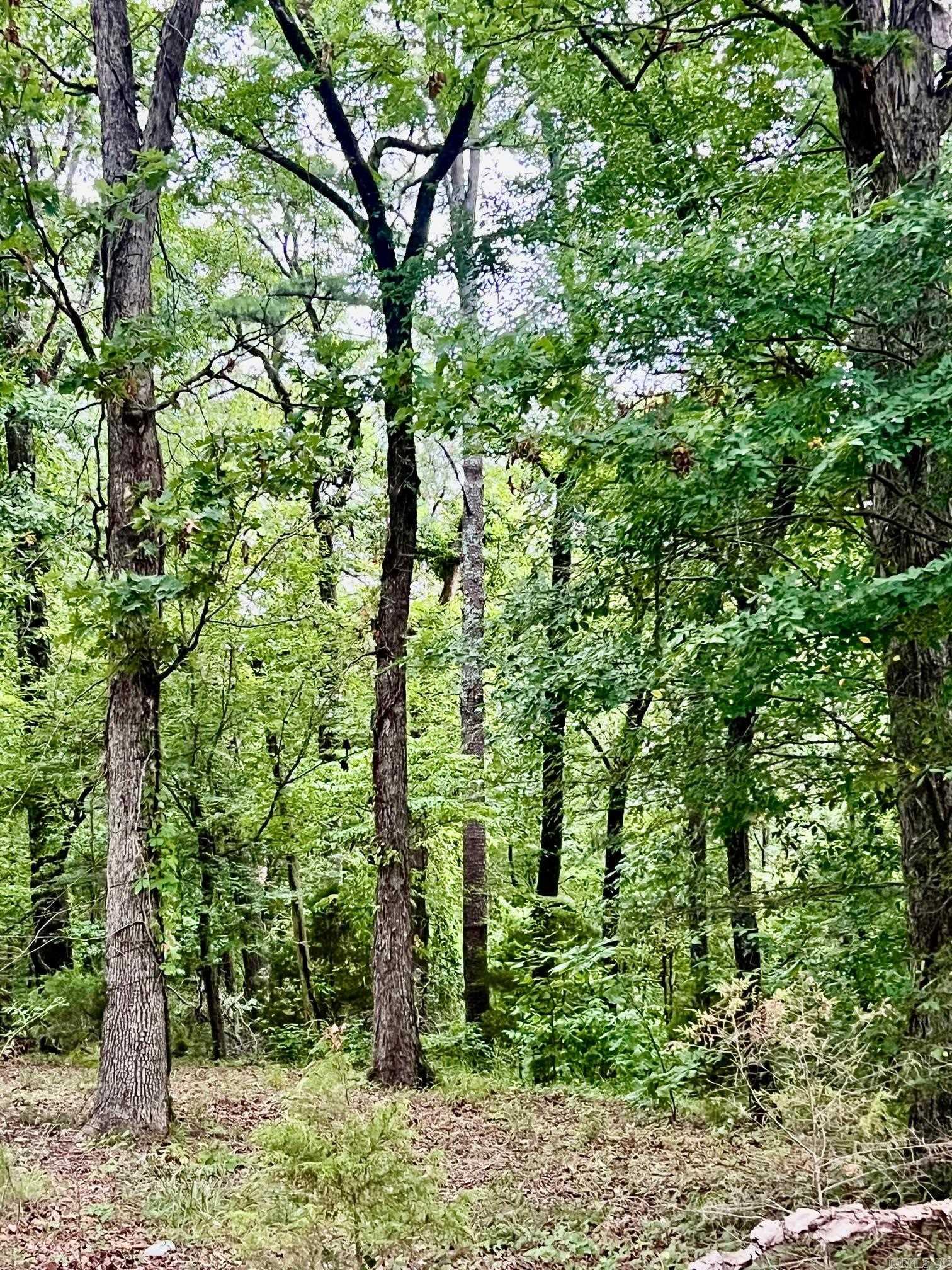 3348 Hwy 71 S Mena, AR 71953