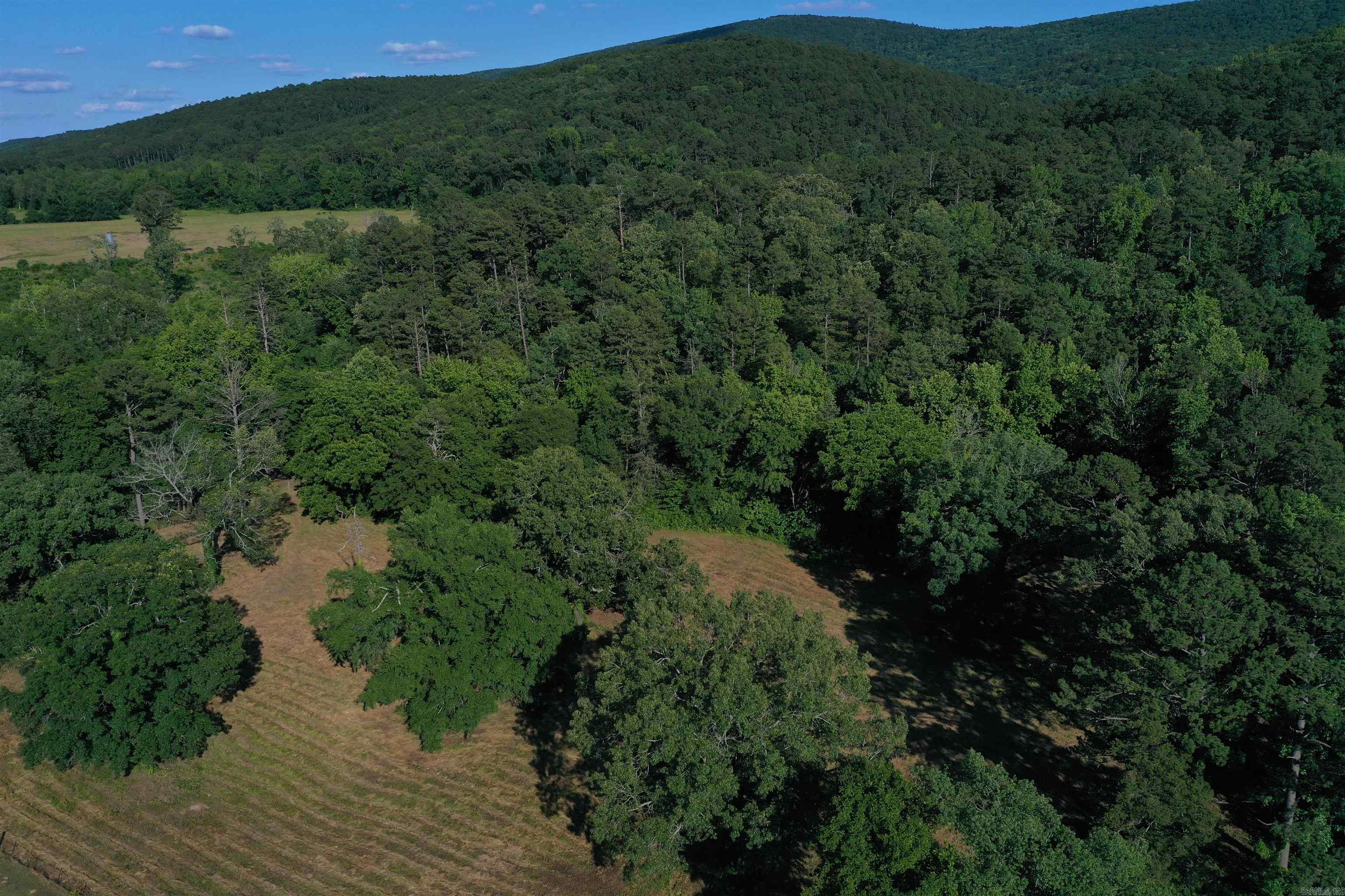 26723 Highway 80 Danville, AR 72833