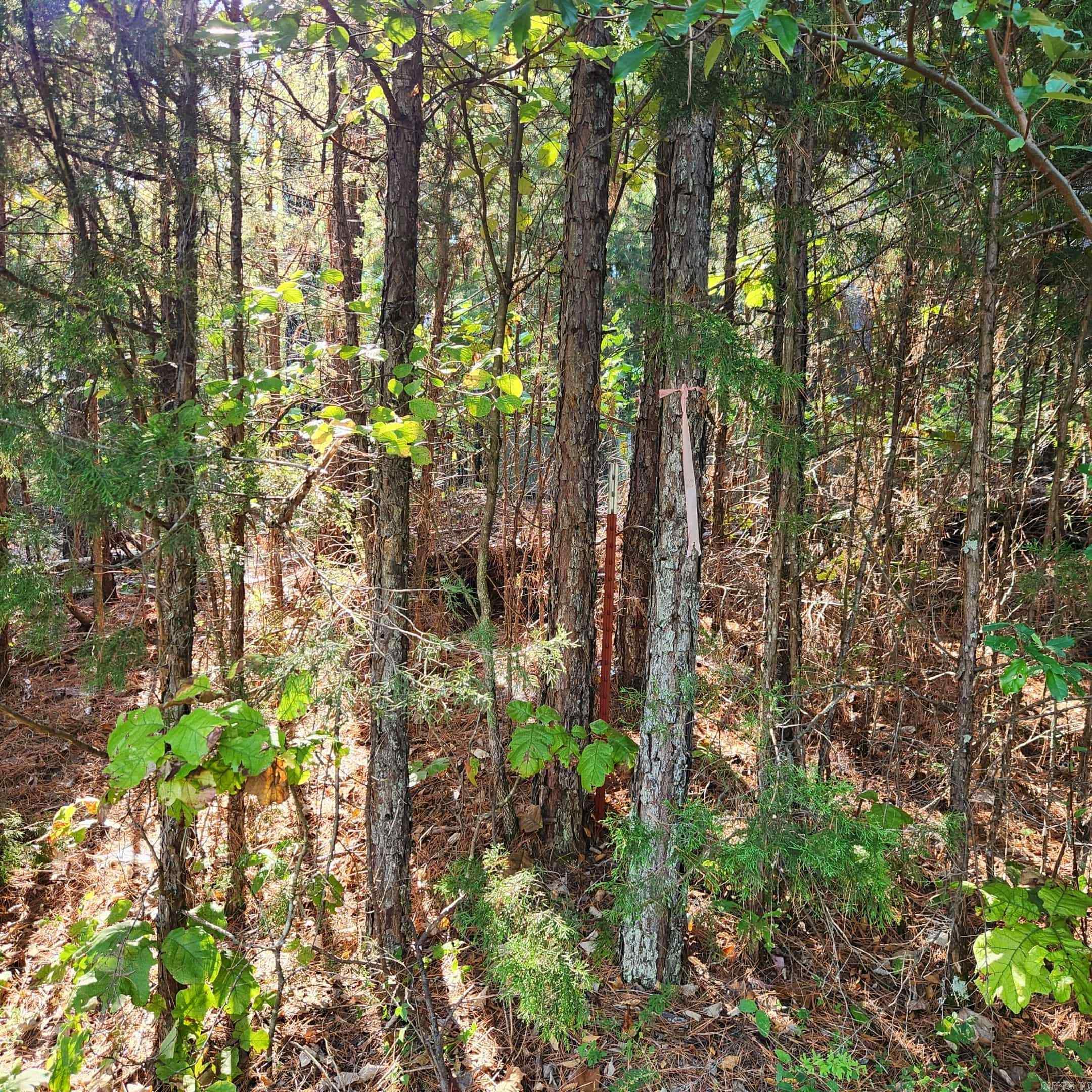  Arapaho Dr  Jordan, AR