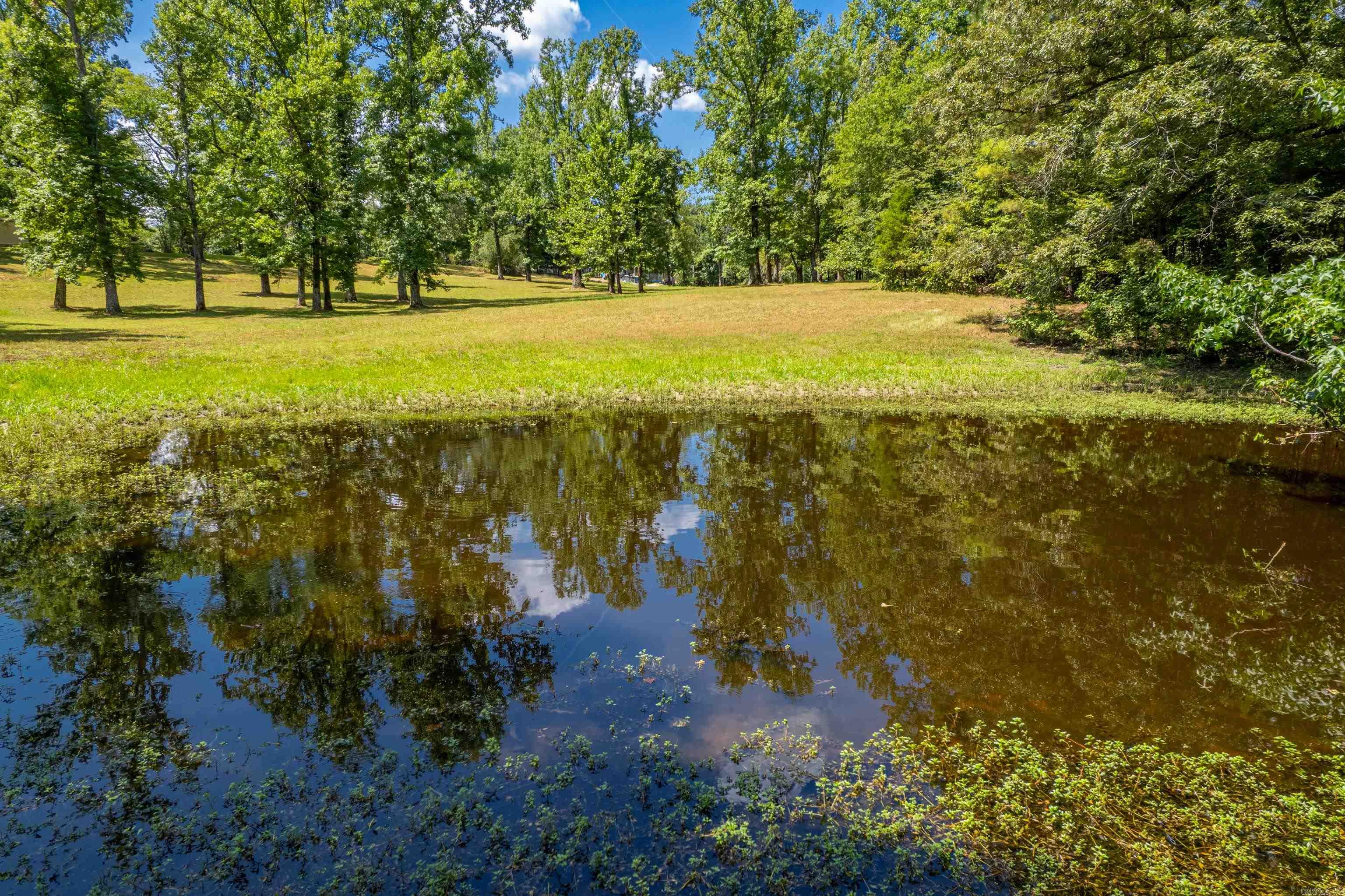 256 Forest Ridge Rd  Royal, AR