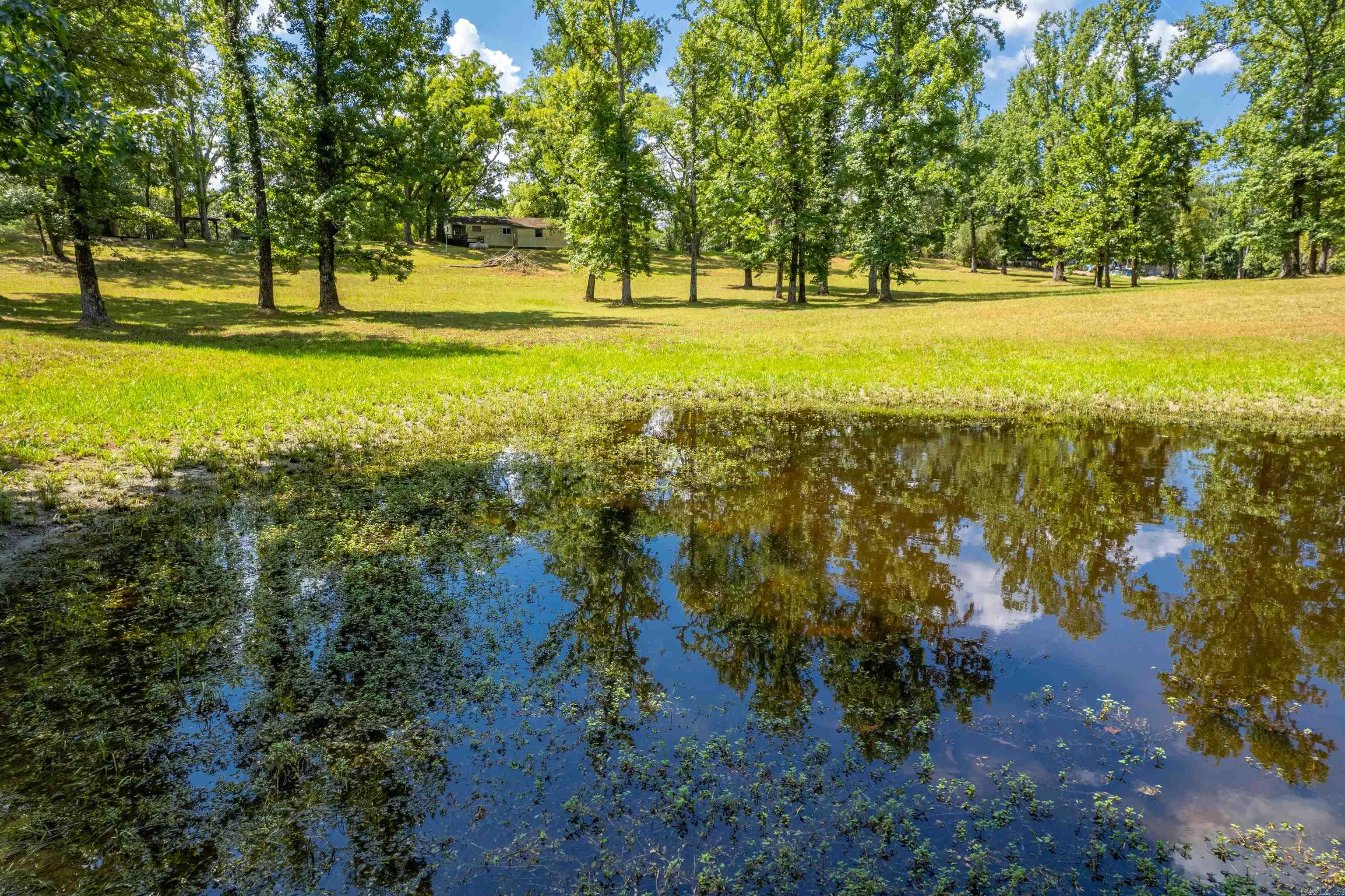 256 Forest Ridge Rd  Royal, AR