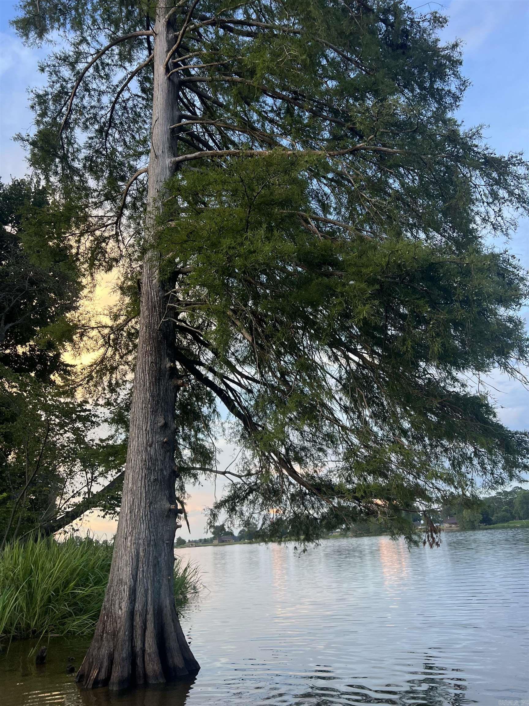 LOT 5 Craig Rd  Scott, AR