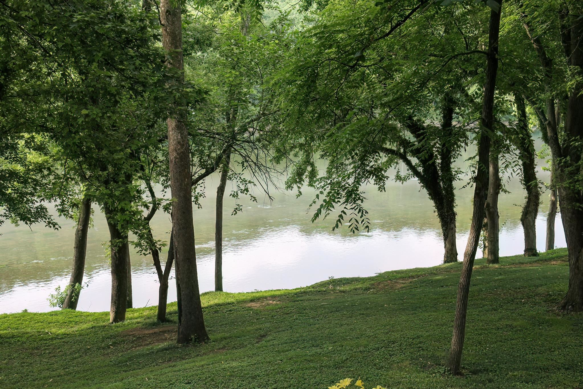 979 Hayden Heights  Mountain View, AR