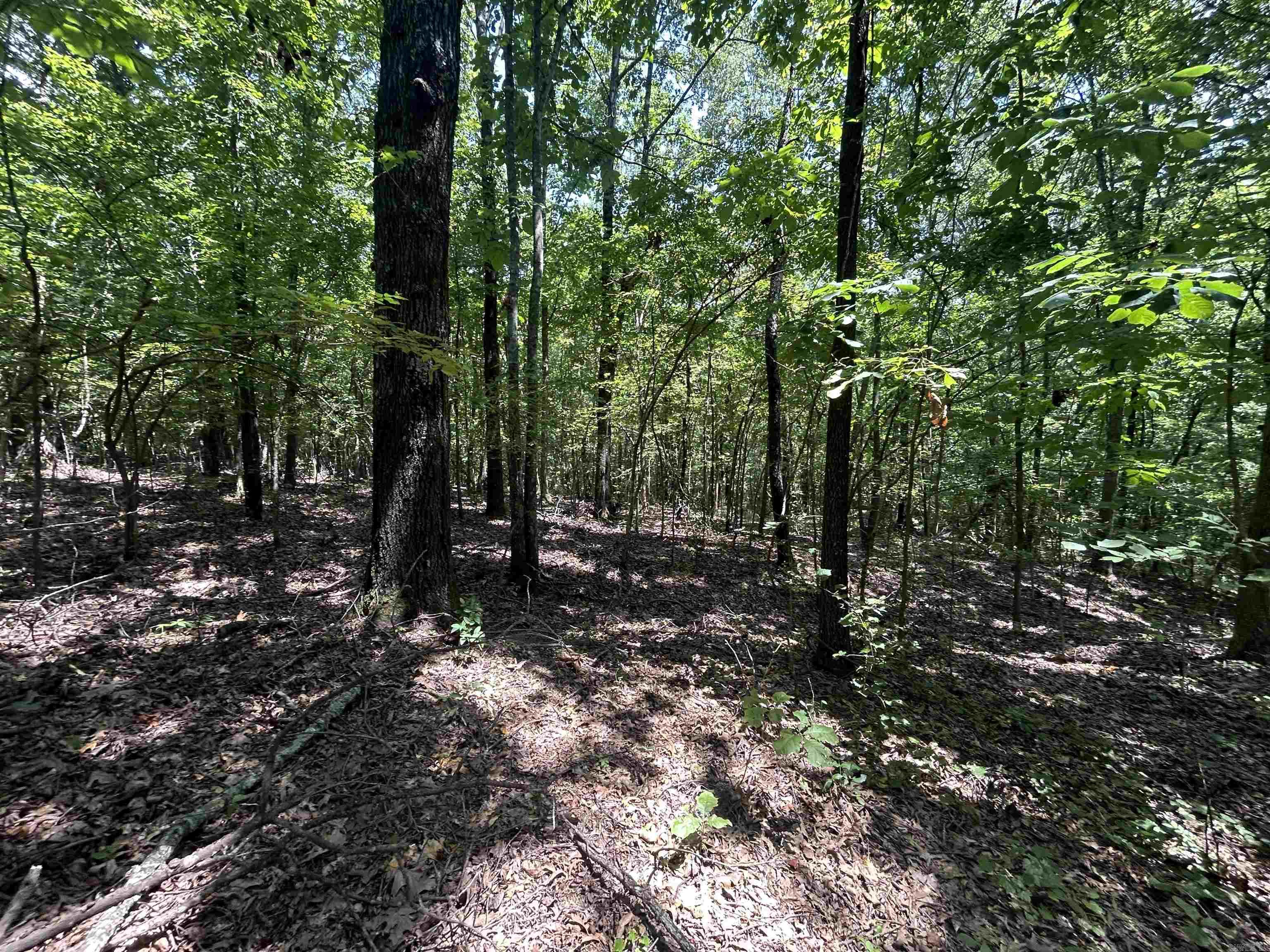  Cr 325  Pleasant Hope, AR